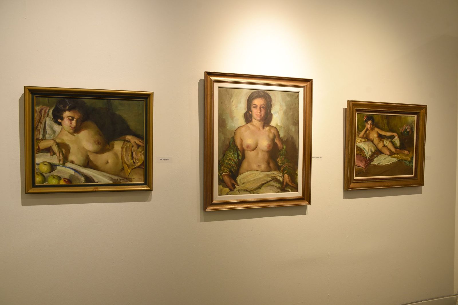 Fotos del décimo aniversario y nueva colección del Museo Cruz Herrera de La Línea