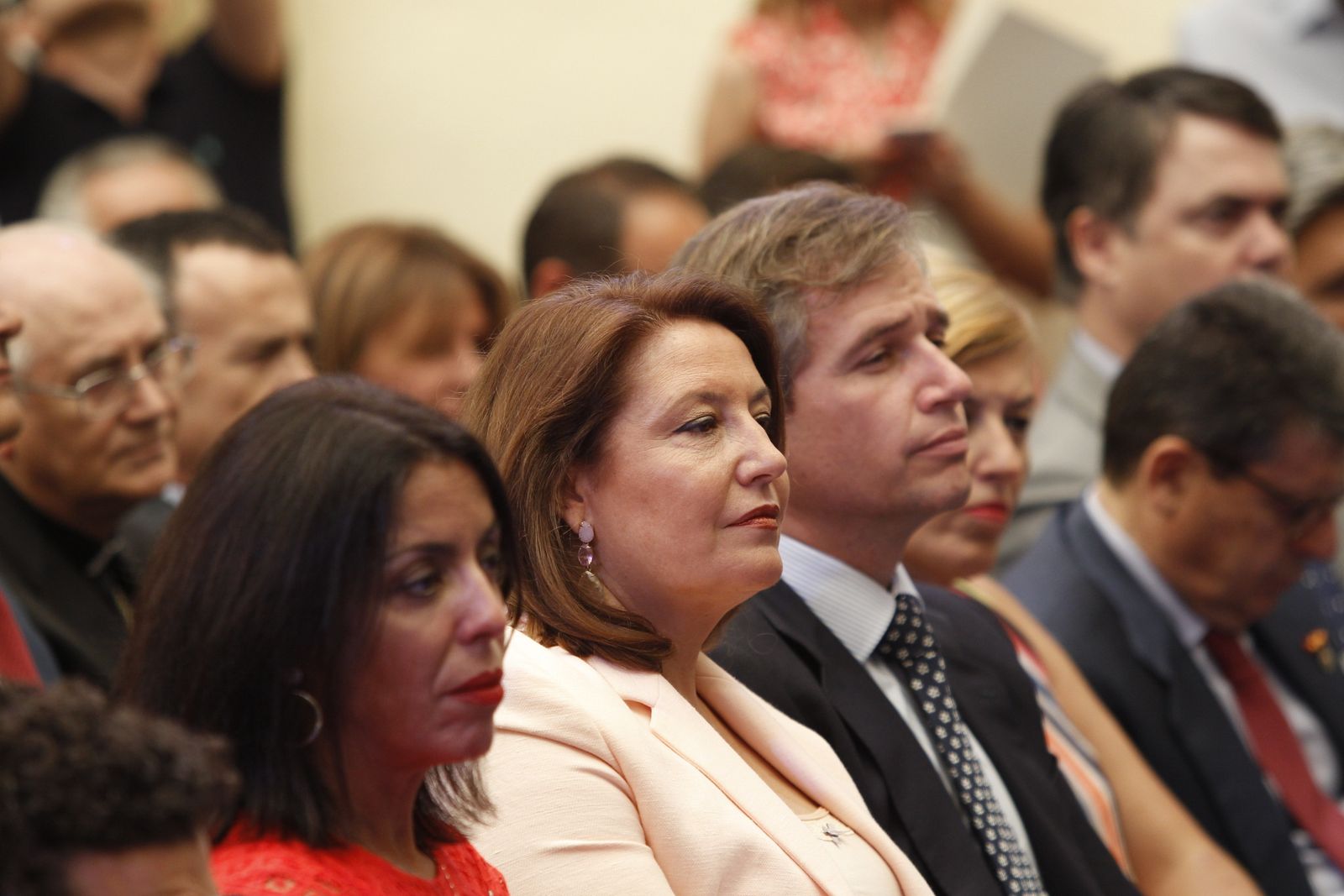 Pleno investidura Presidente Diputación de Almería. Javier Aureliano García