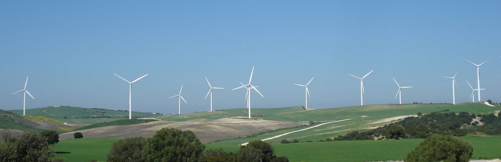 Varios aerogeneradores.