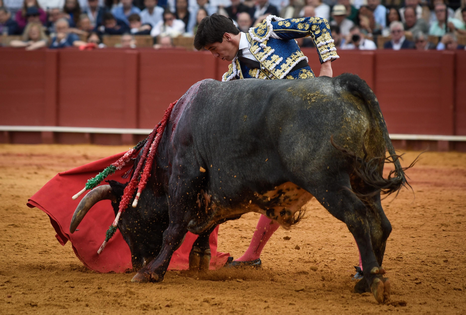 Las imágenes de la corrida de toros de El Fandi, Manuel Escribano y Esaú Fernández