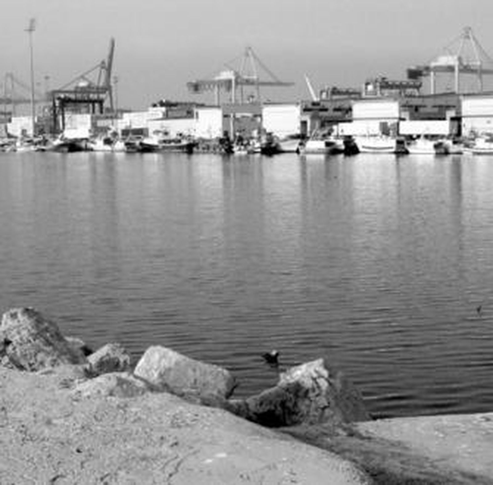 Muelle con las grúas de Maersk al fondo.
