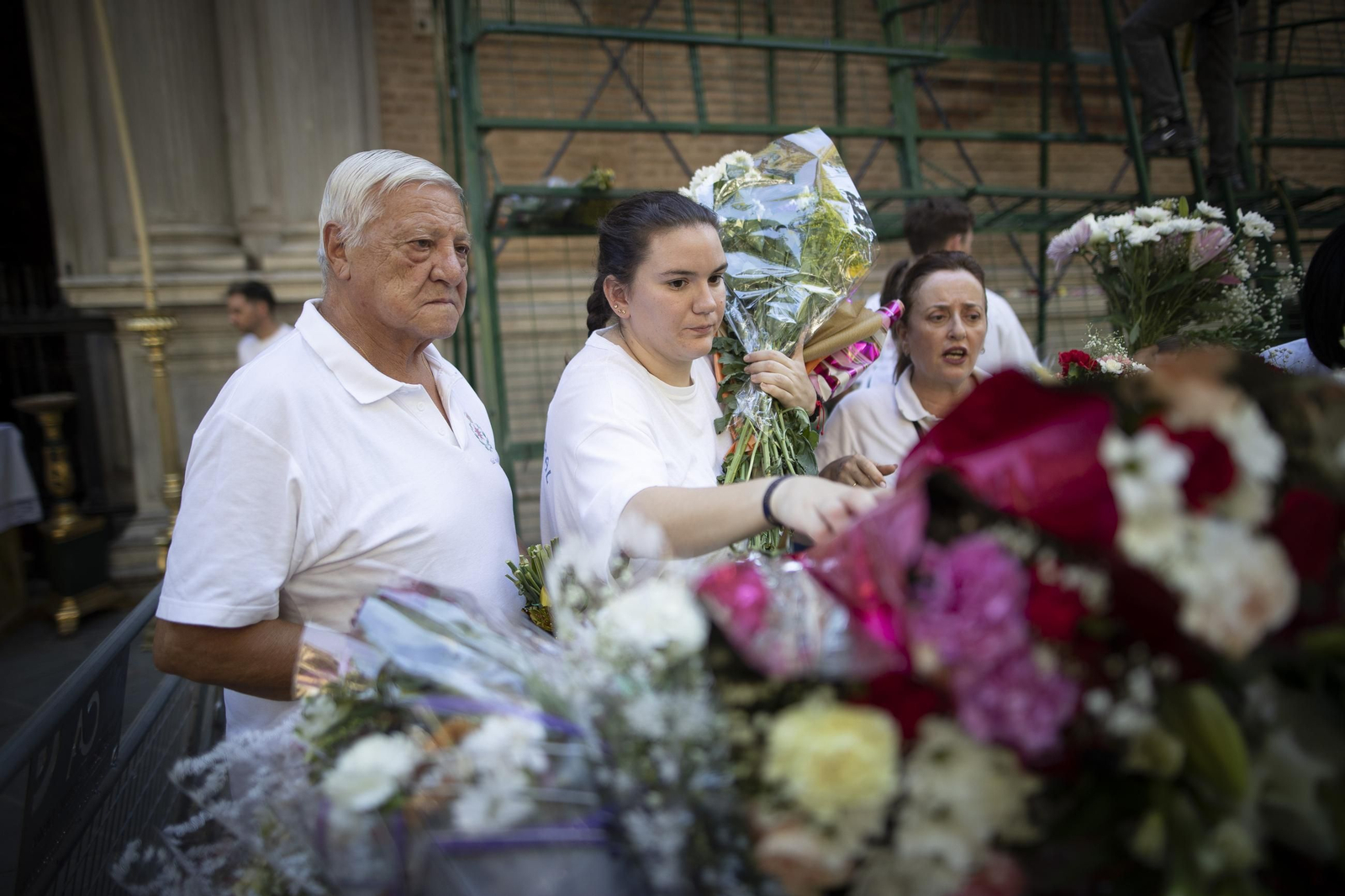 Ofrenda Floral y Solidaria de la Virgen de las Angustias de Granada, Septiembre 2025.jpg