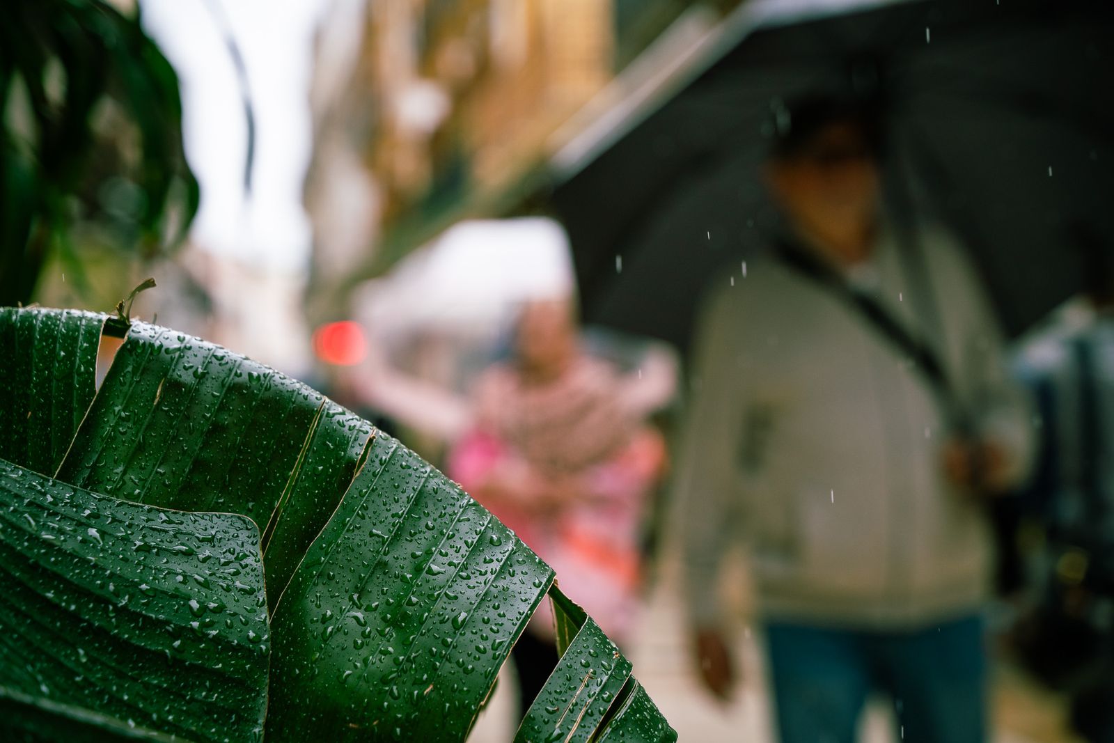 Las imágenes más destacadas del miércoles 30 de abril en Huelva