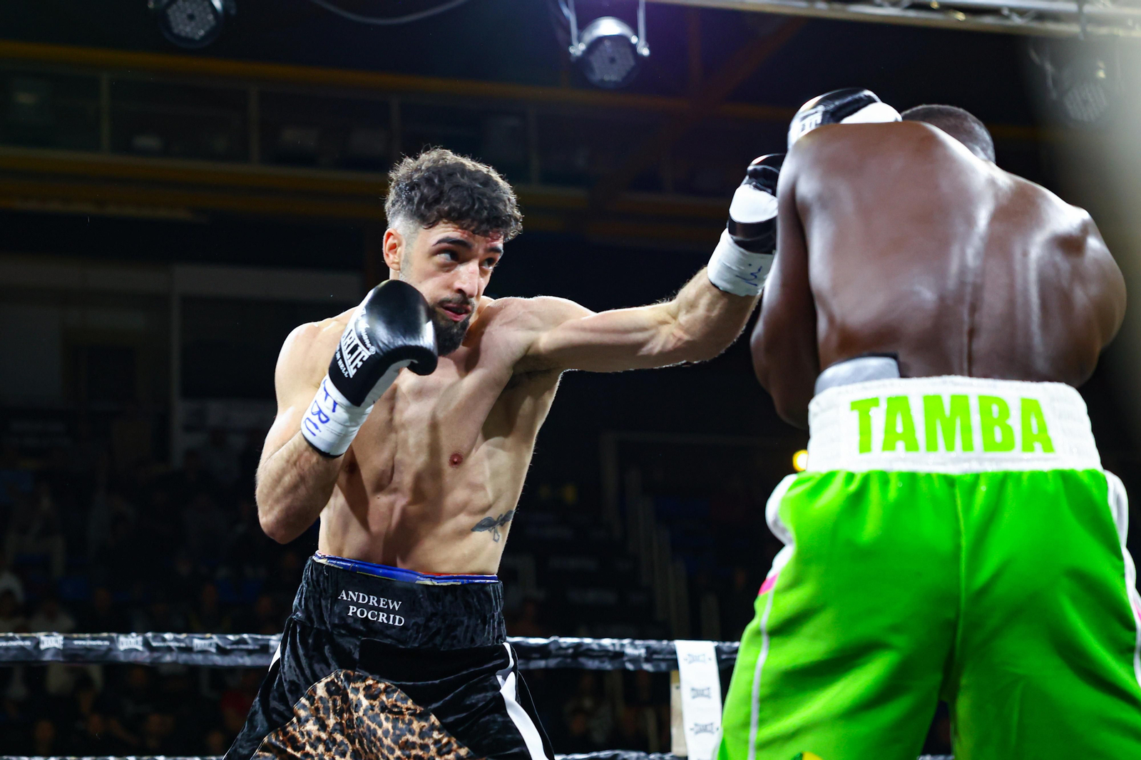 Las mejores fotos de la derrota de José Luis Navarro (El Cazador Jr) ante Gustave Tamba