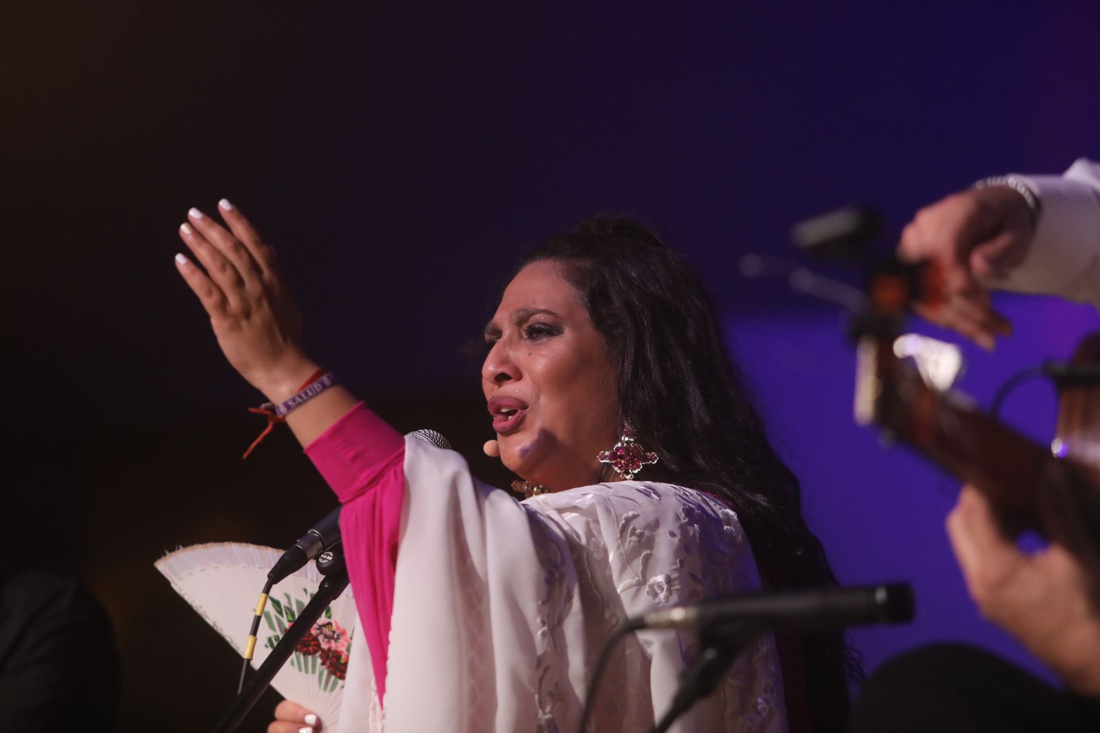 La noche flamenca en el Parque de San Fernando, en imágenes