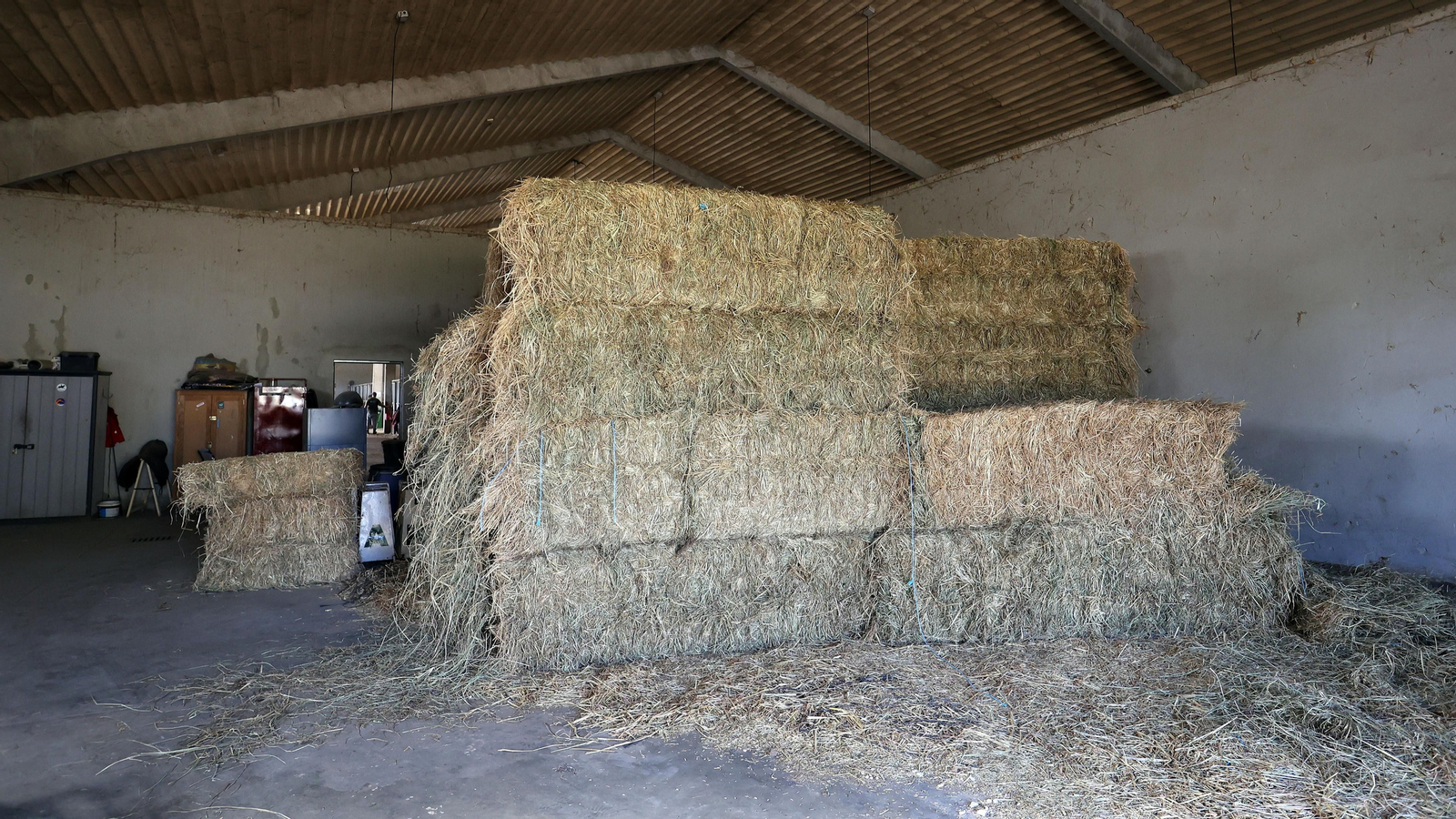 Imágenes del Complejo Hípico de Chapín de Ganadería Alpende