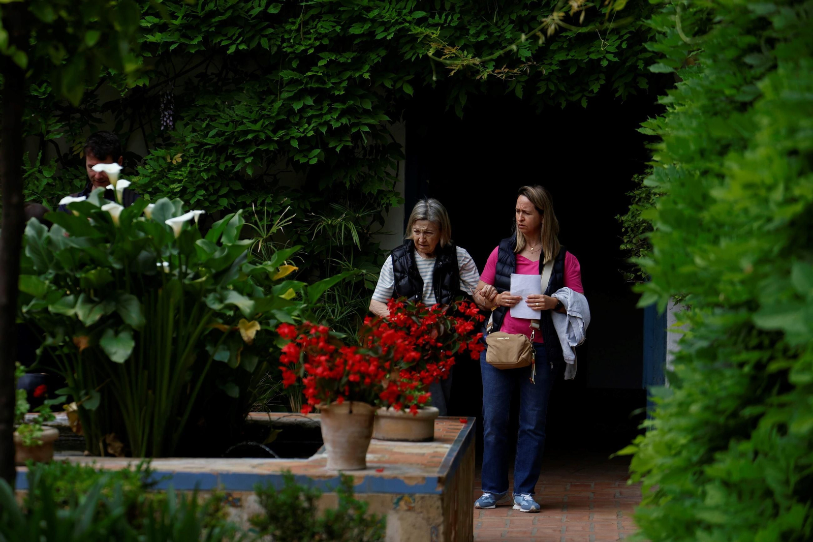 Los Patios del Palacio de Viana, en imágenes