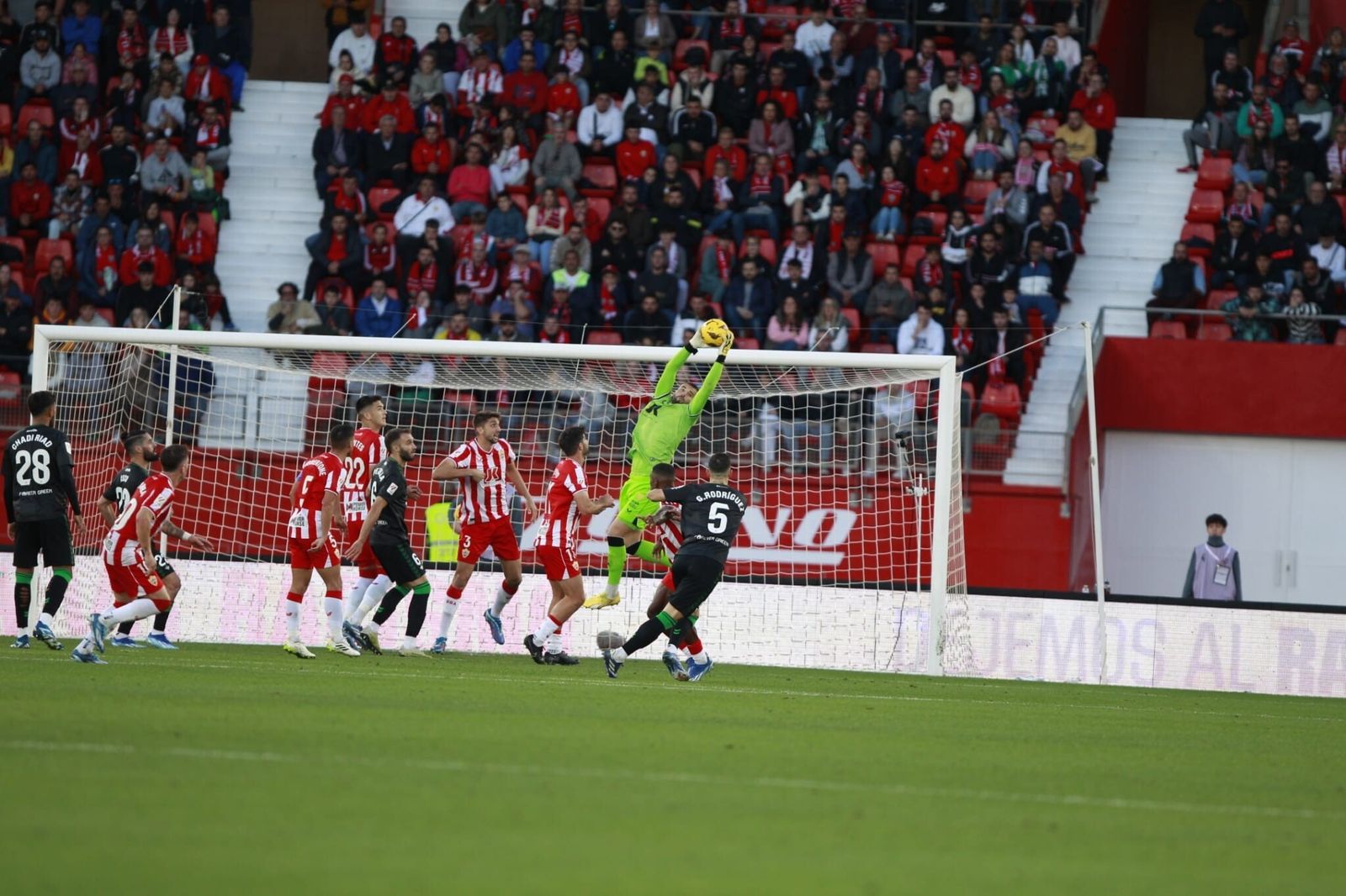 Las fotos del Almería - Betis