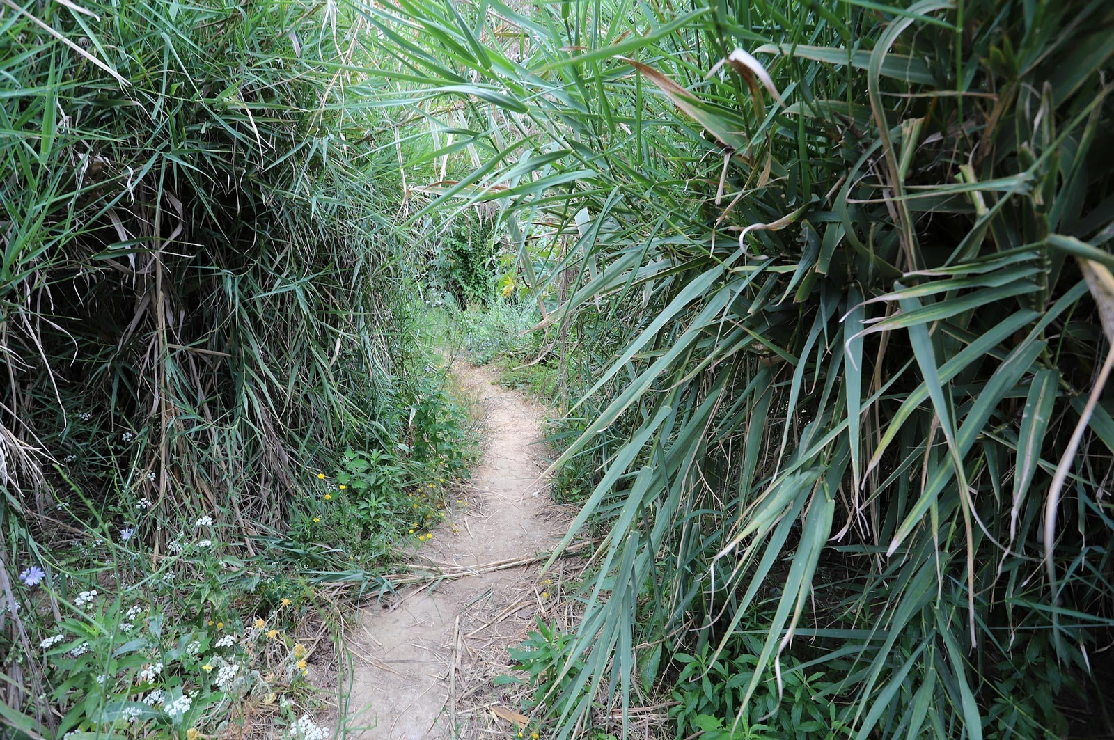 Imágenes del estado de abandono en el que se encuentra la Fuente Vieja y su entorno