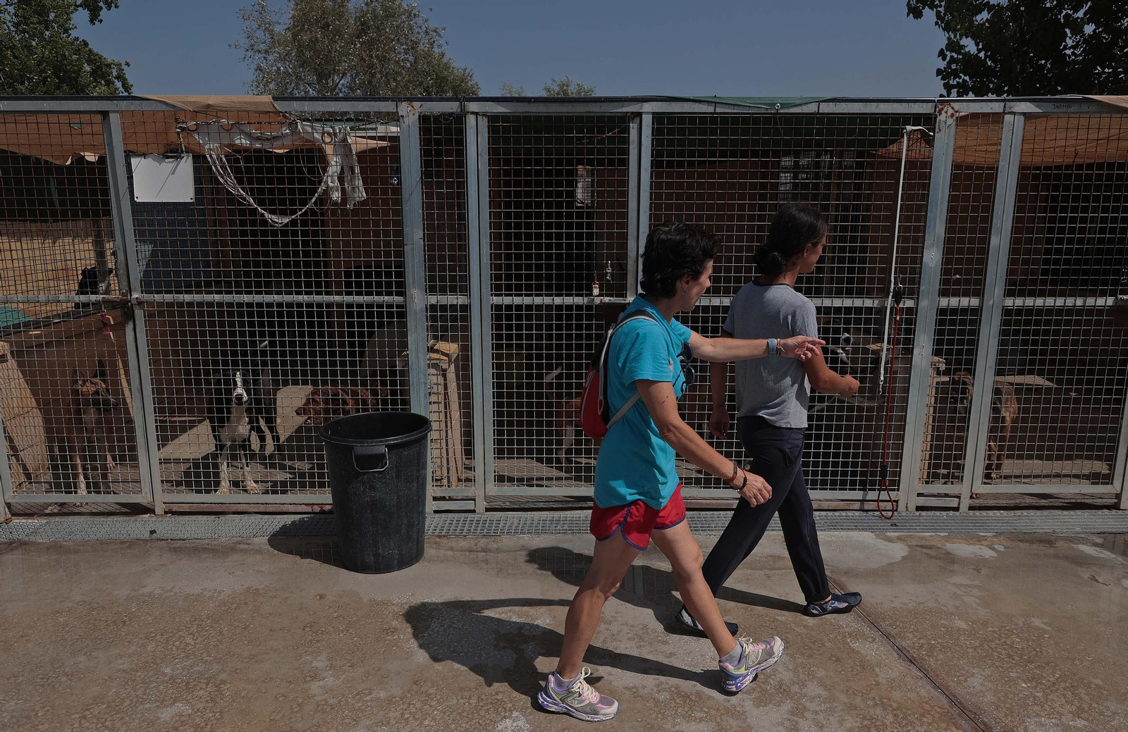 Imágenes de la protectora de animales del Campo de Gibraltar en Los Barrios