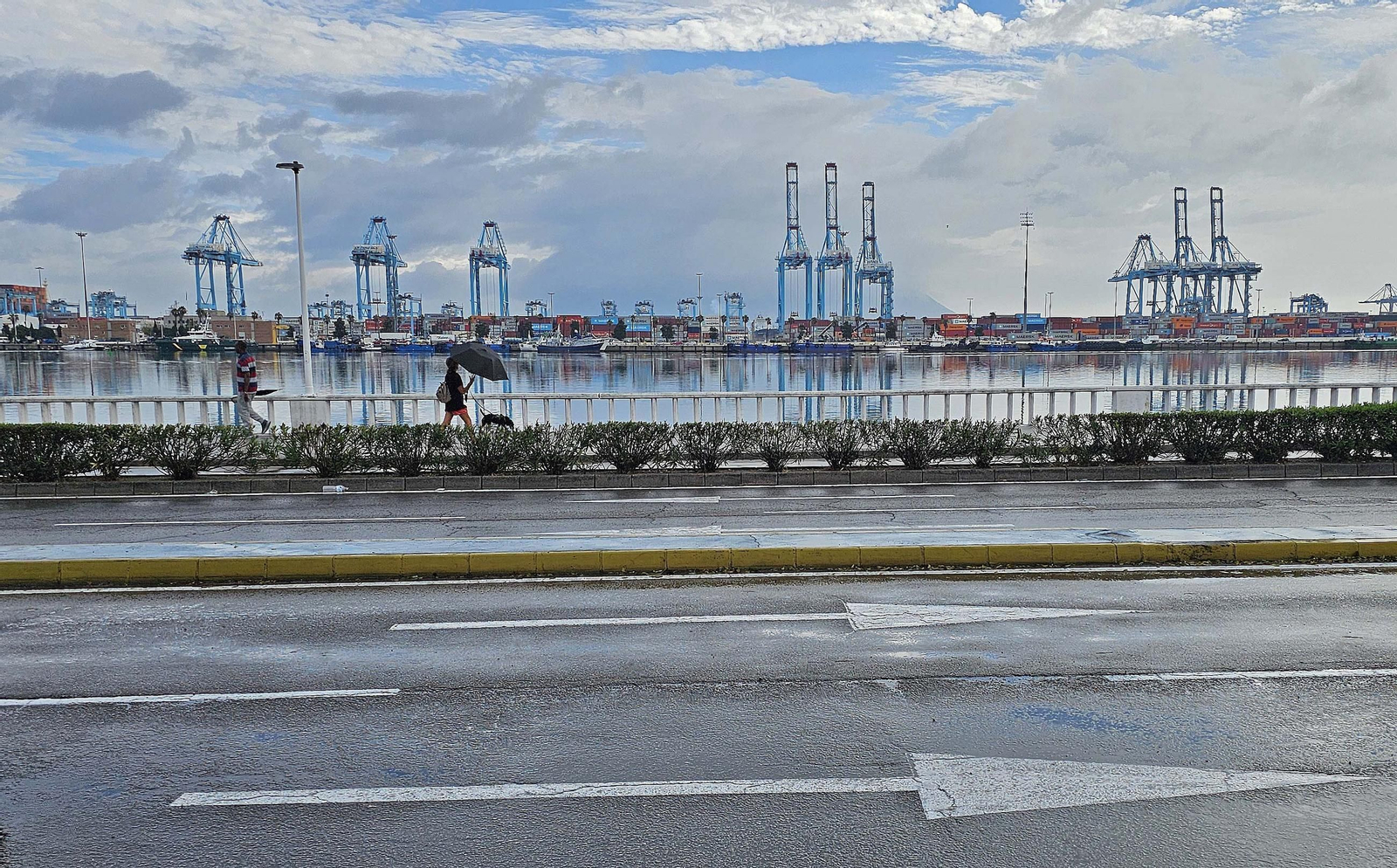Las primeras lluvias de otoño, en imágenes