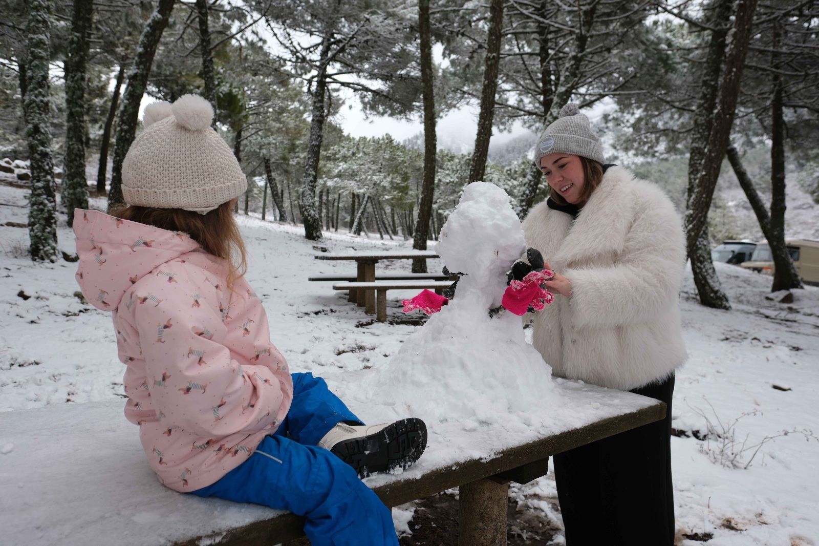 La nieve tiñe de blanco la Serranía de Ronda