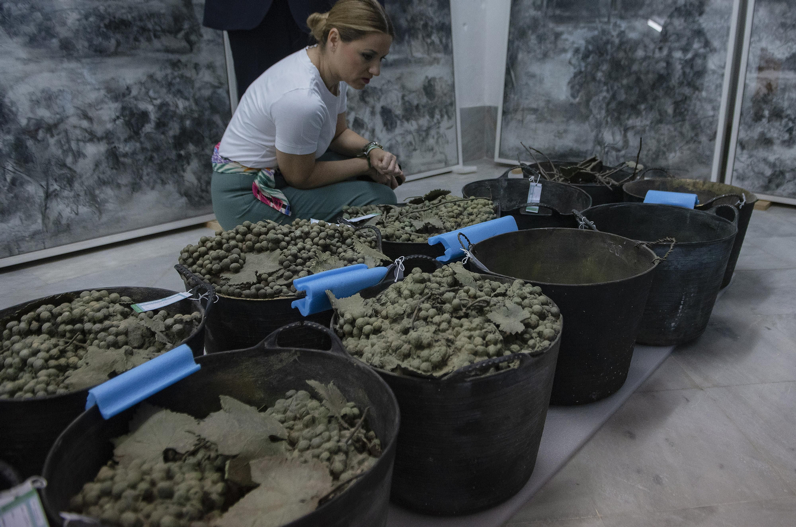 El CAAC incorpora a su colección ocho obras de la artista Carmen Laffón