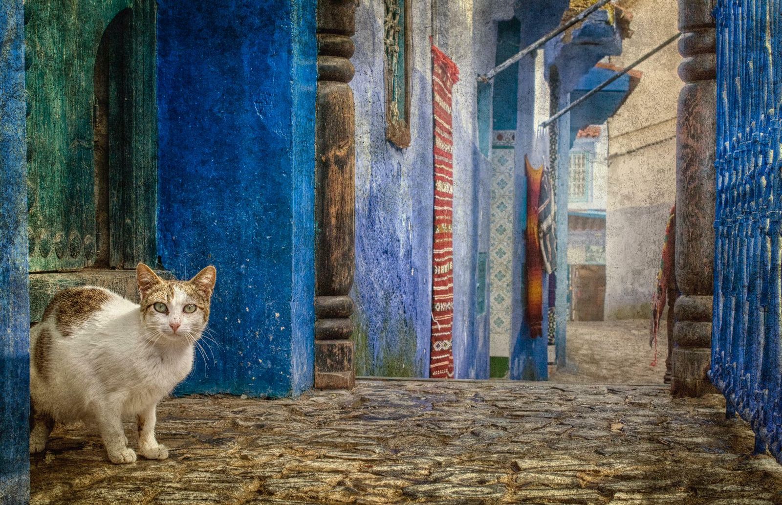 Las imágenes de la exposición 'Pintorescas', de Zu Sánchez.