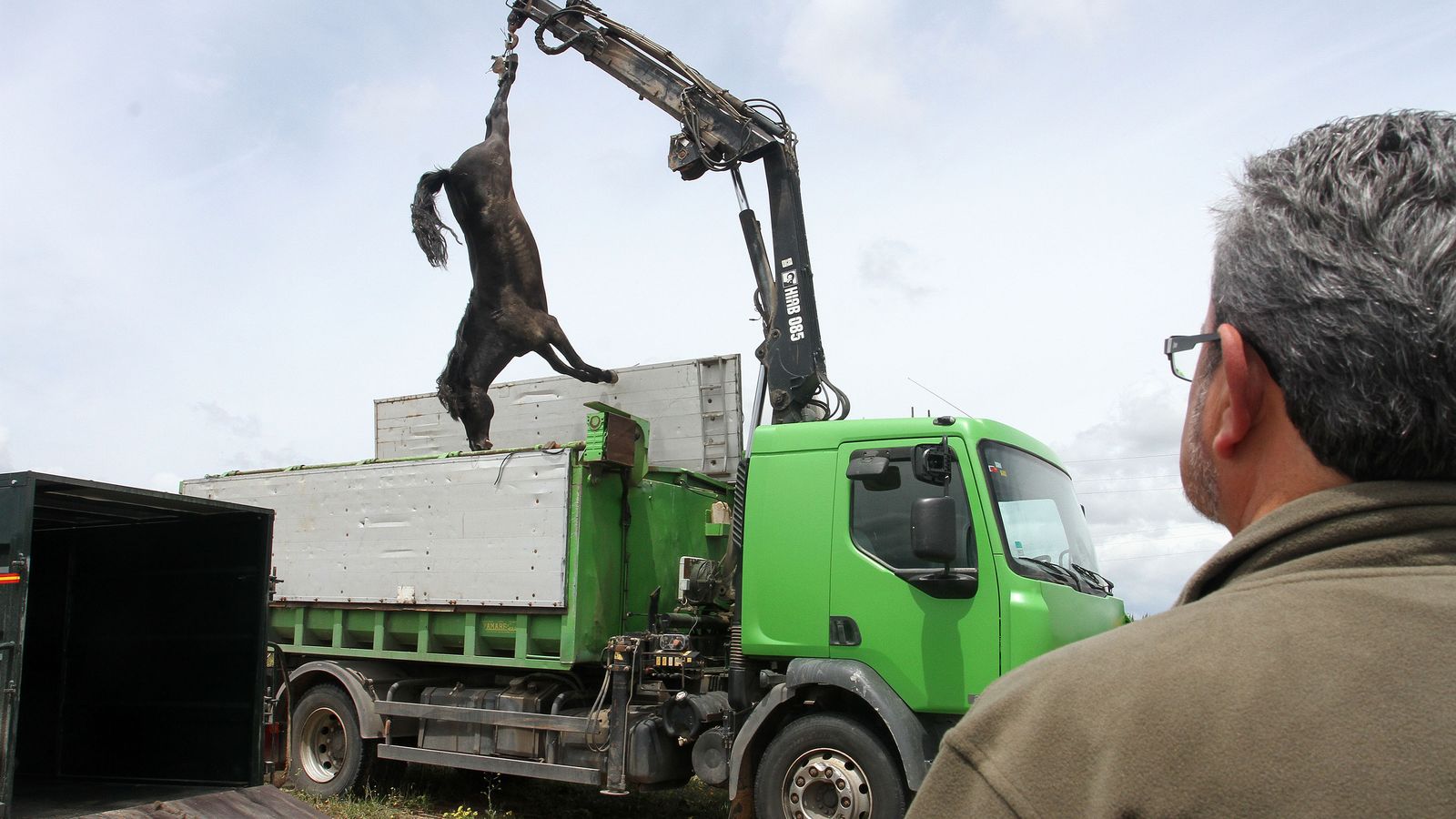 Veterinarios cargan un caballo muerto en el Rocío de 2016