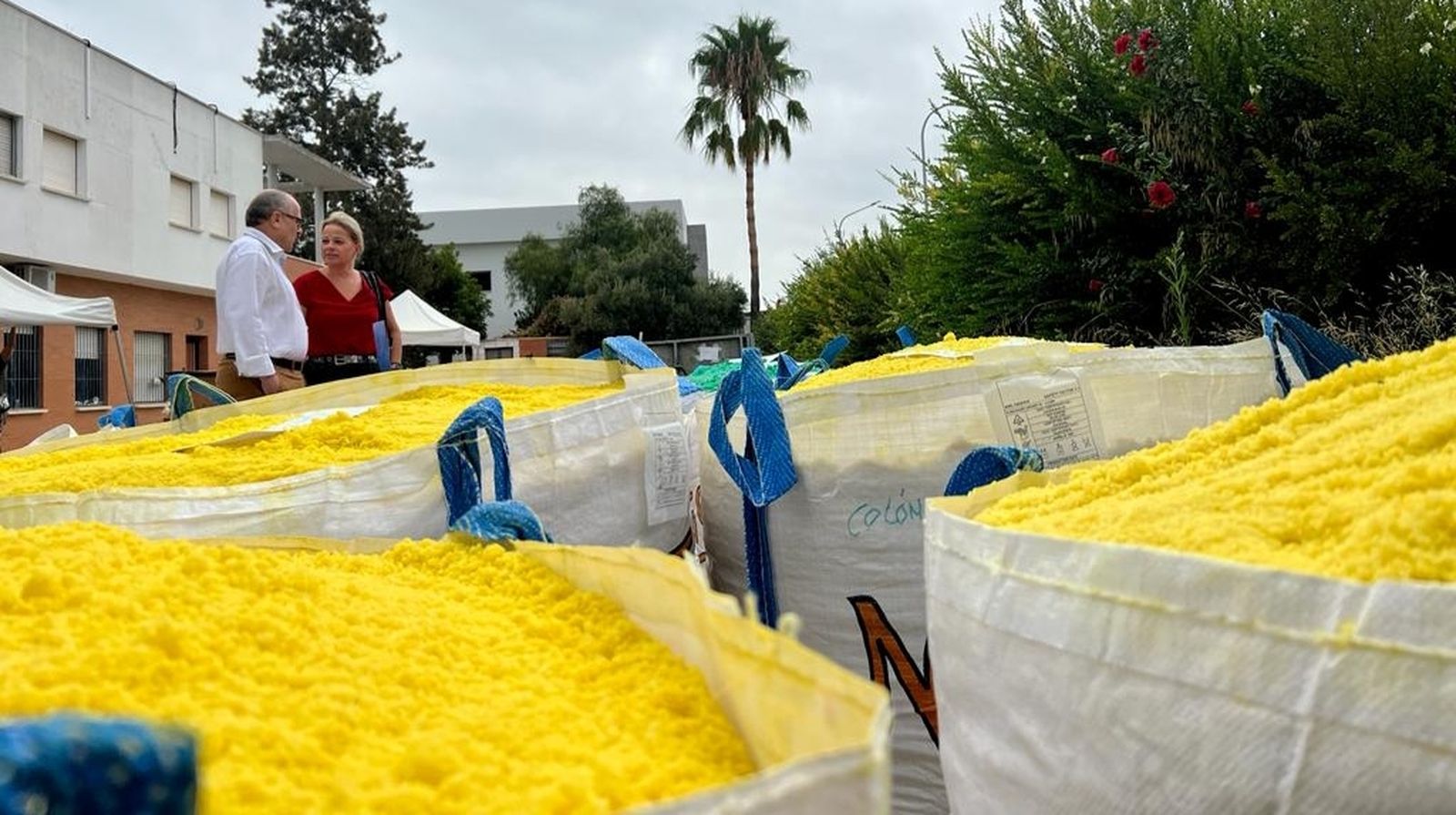La visita municipal a la sal tintada para las alfombras en honor de la Patrona de Sanlúcar.