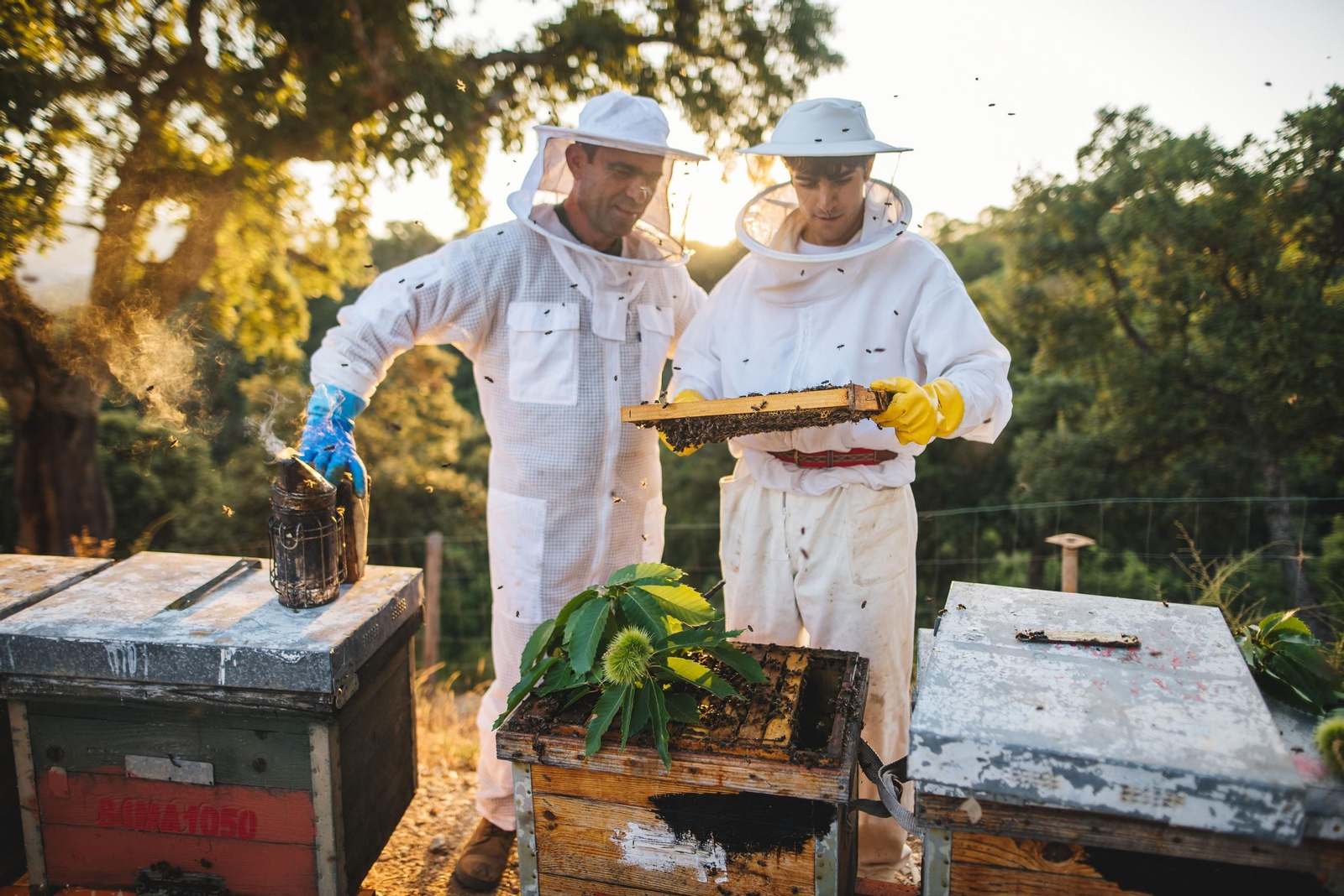 La familia se ha implicado en el proyecto de Juan Galindo.