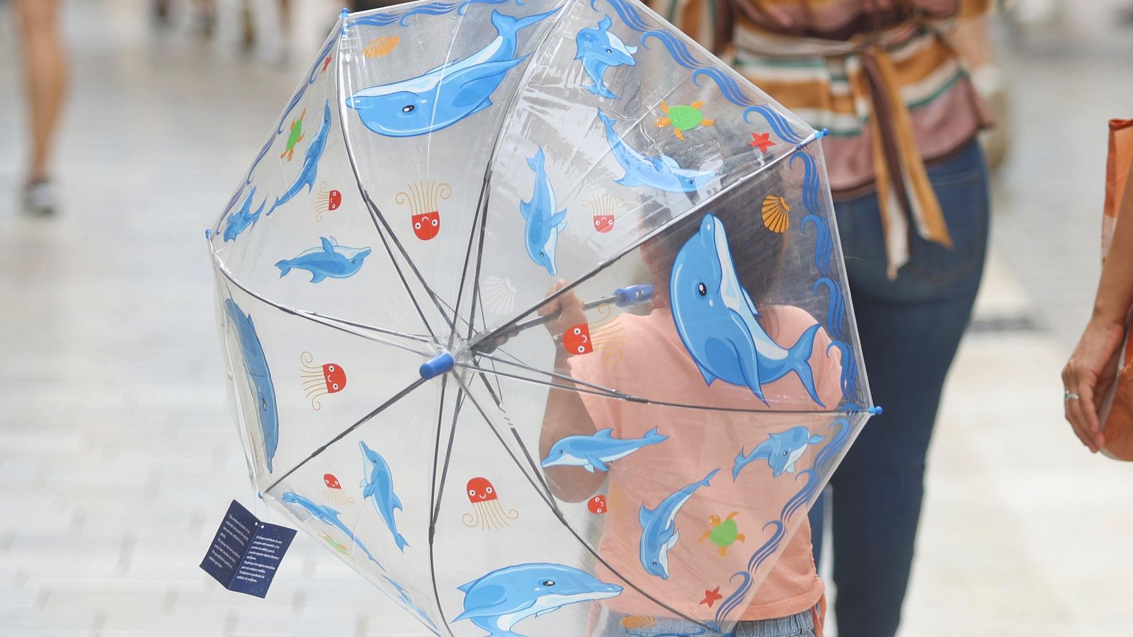 La Aemet avanza cómo será la primavera en Málaga La Aemet avanza cómo será la primavera en Málaga