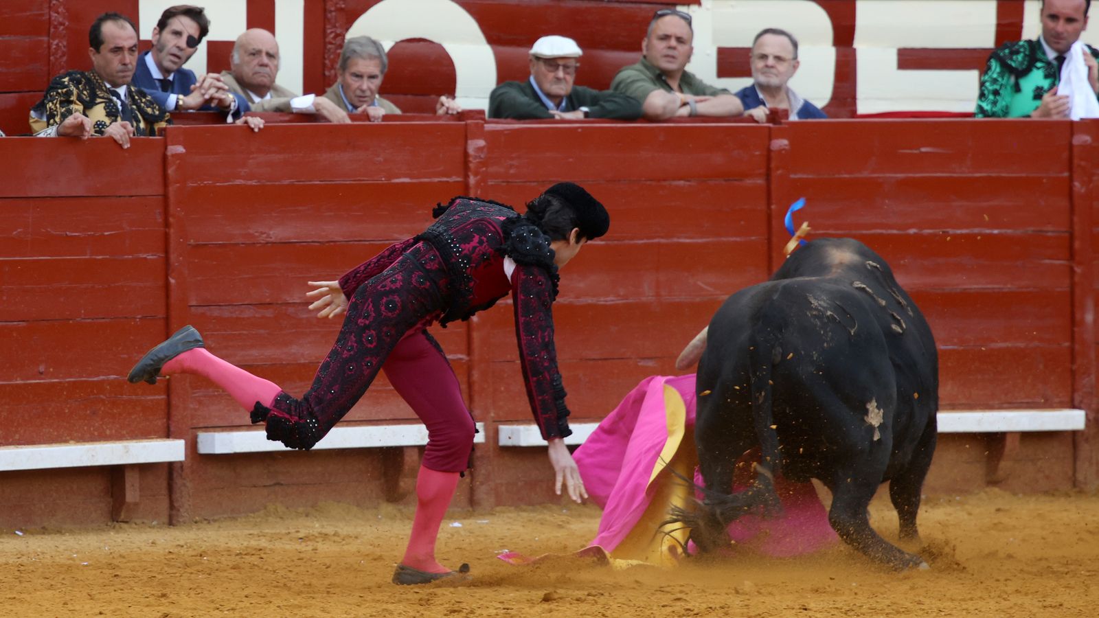 Tercera tarde de toros y última de la Feria de Jerez con Morante, Juan Ortega y Roca Rey