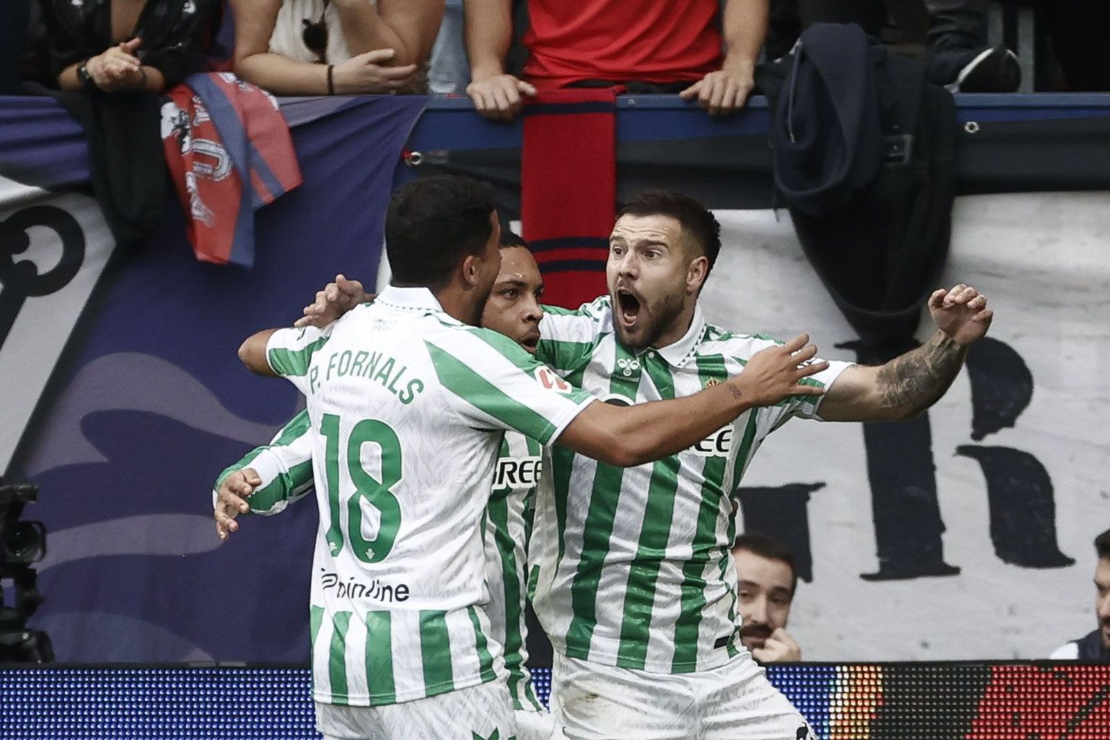 Las fotos del Osasuna - Betis