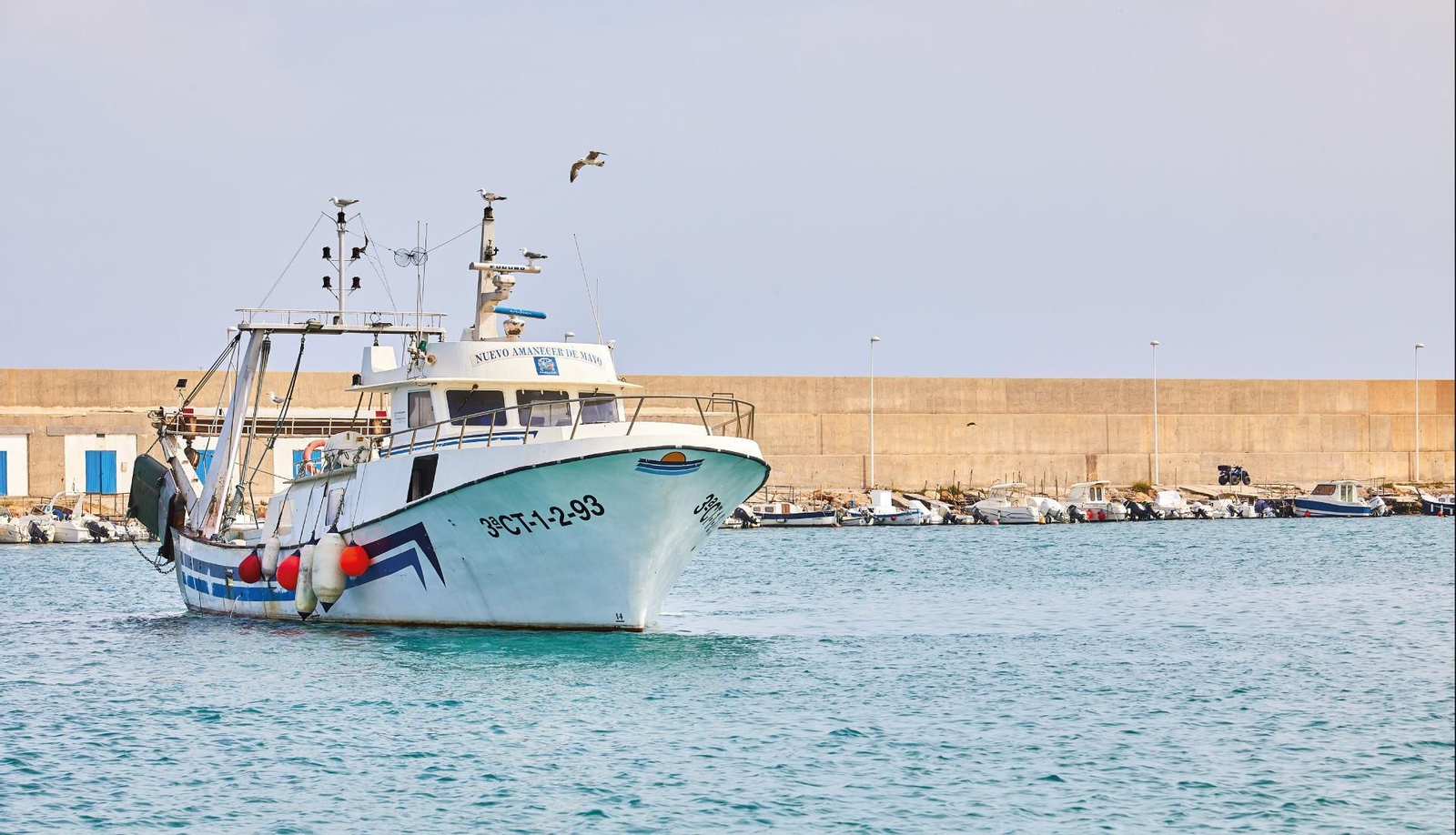 Pescadores de Carboneras denuncian la práctica ilegal marroquí de redes a la deriva