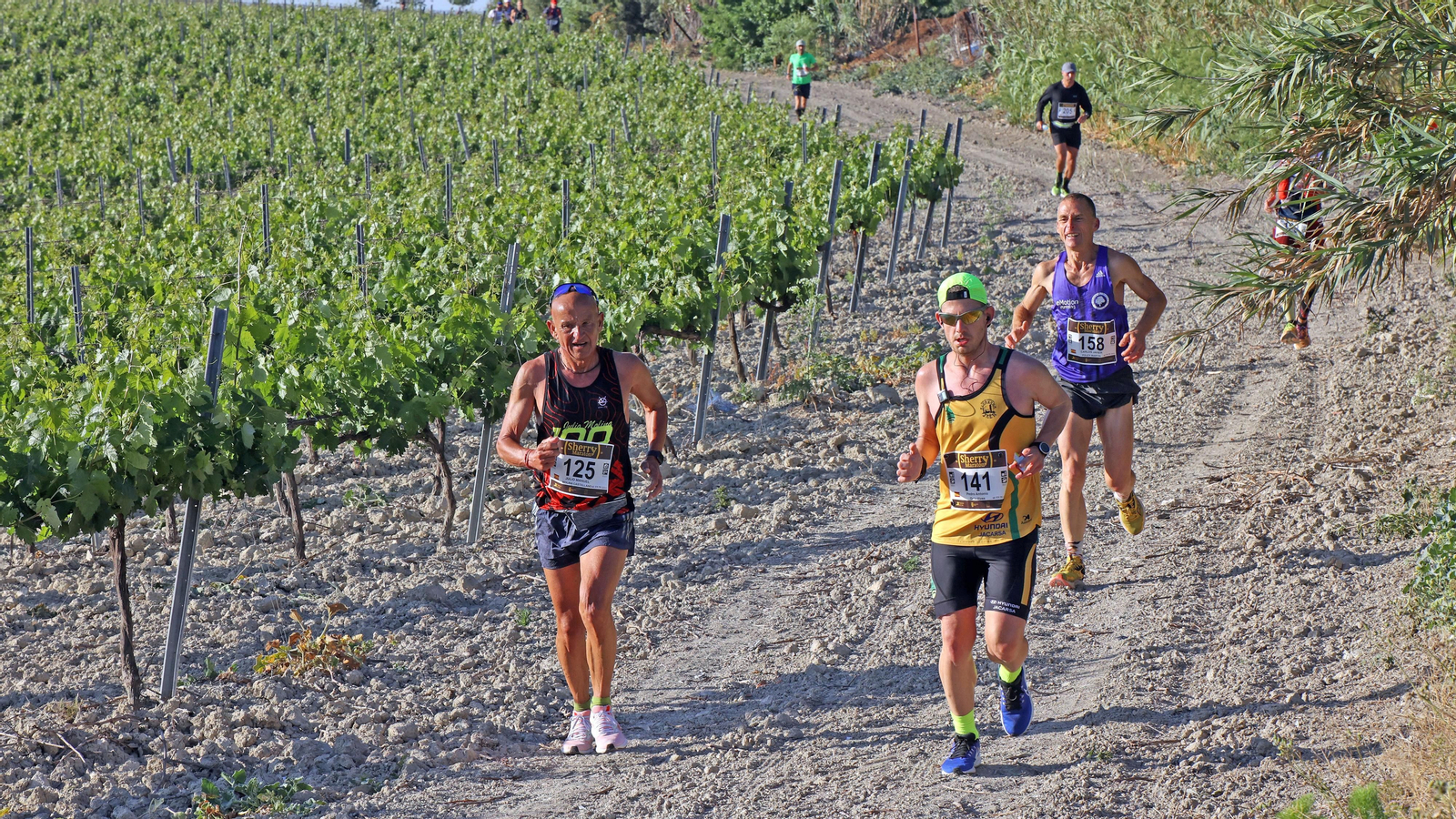 VI Sherry Maratón Jerez