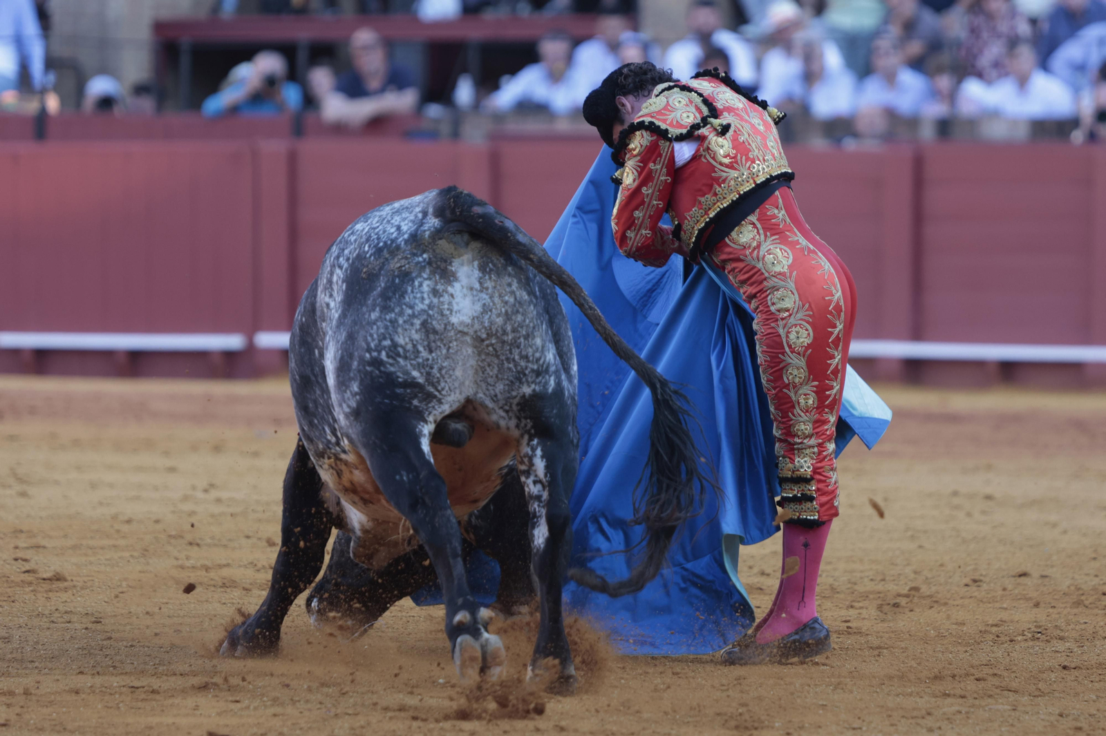 Las imágenes del festejo