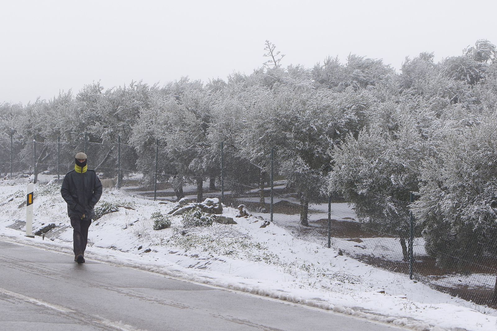 Nieva en la Sierra Norte de Sevilla