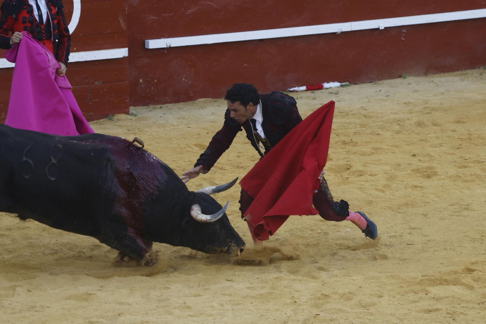 Las fotos de la corrida de toros de la Feria de San Roque