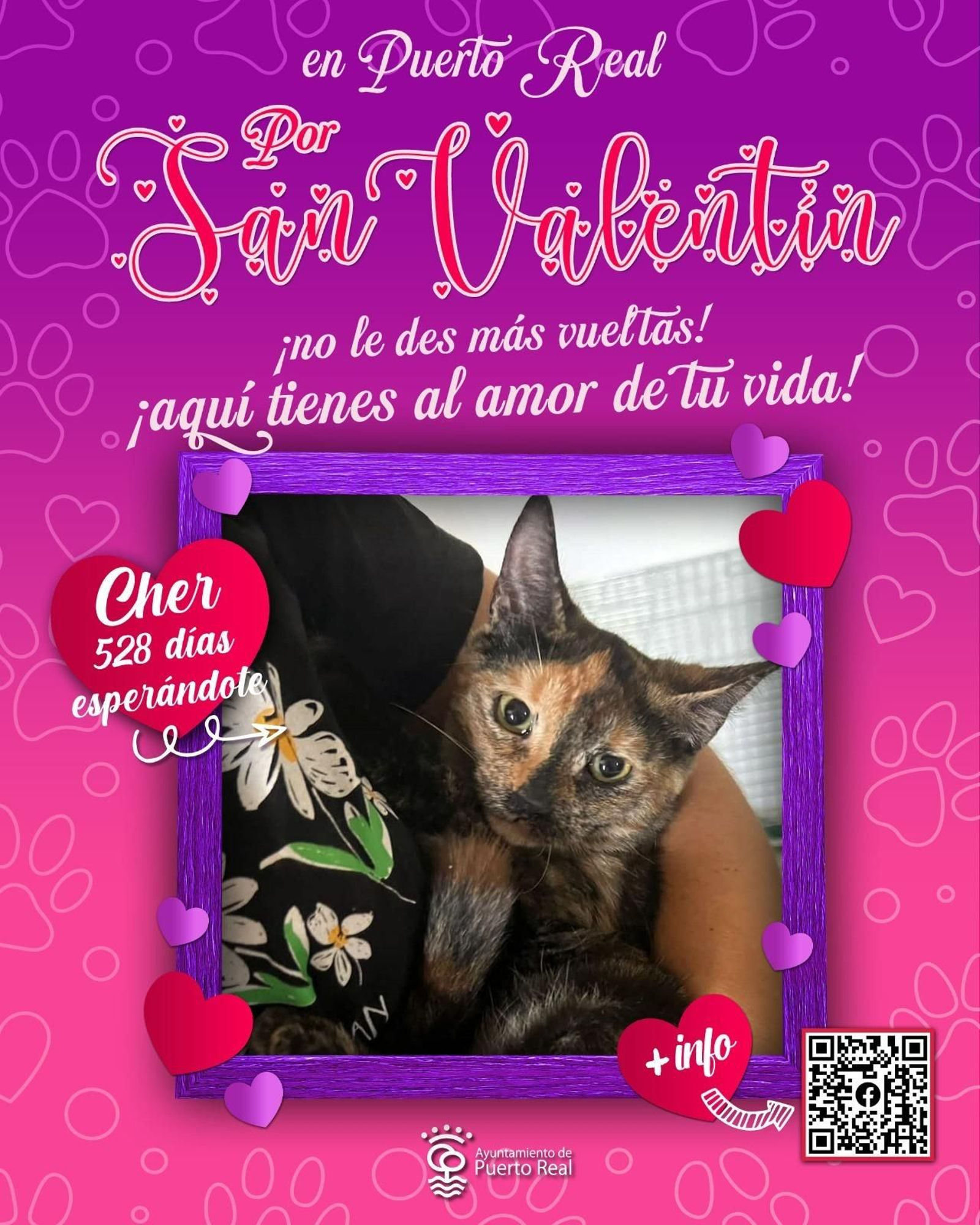 Mascota a la espera de ser adoptada