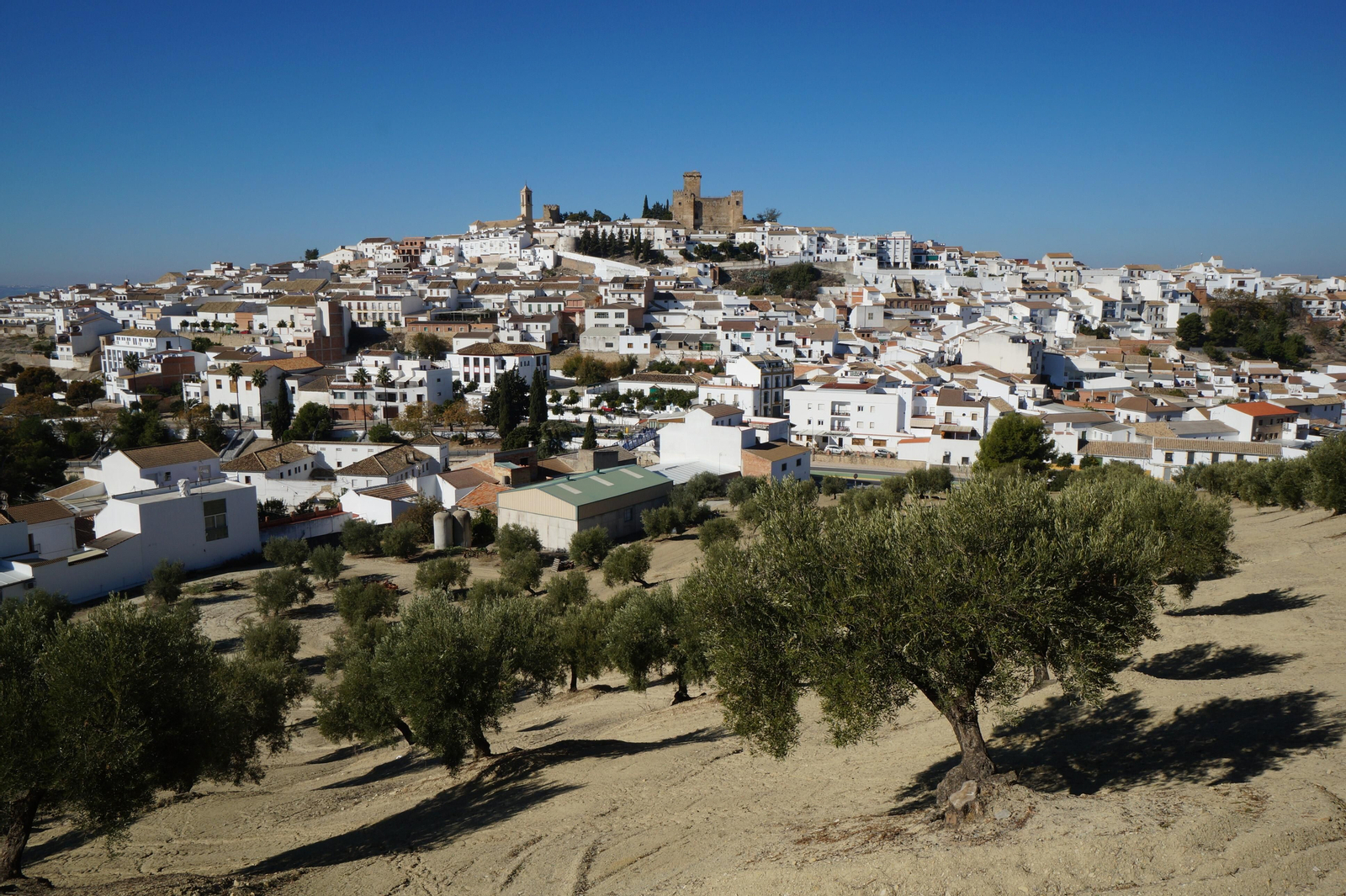 Espejo, la localidad de Córdoba que más seísmos registró en 2021.