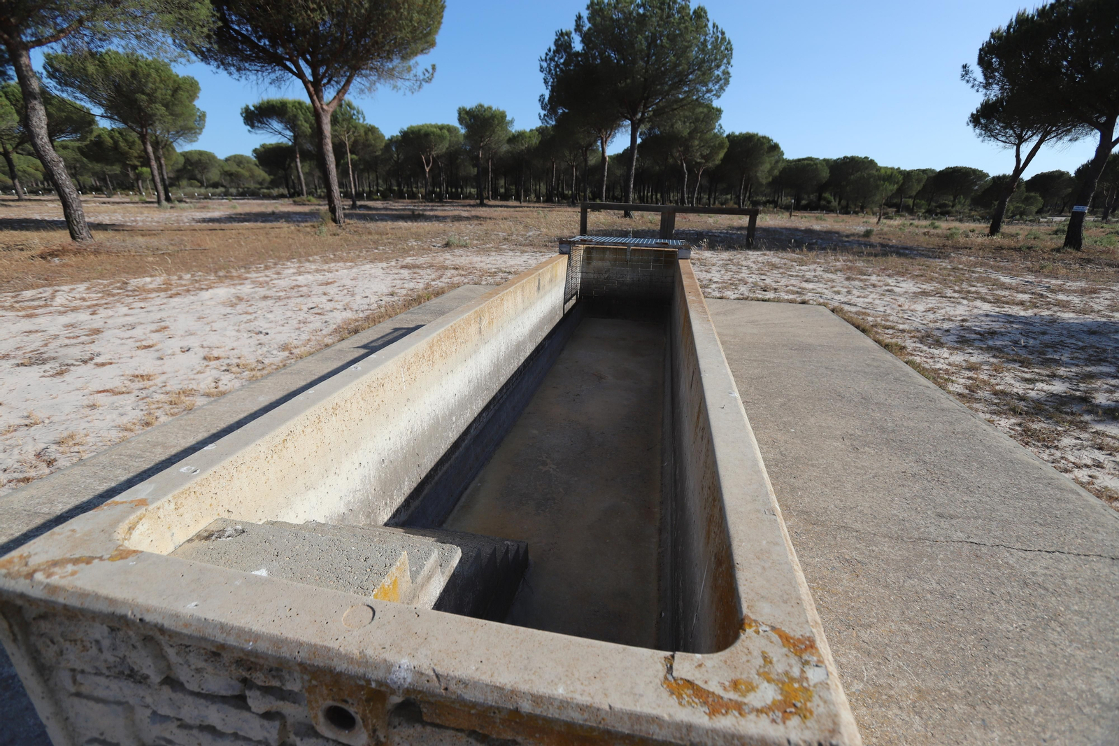Imágenes del estado en el que se encuentran los caminos del Rocío para la Romería 2023