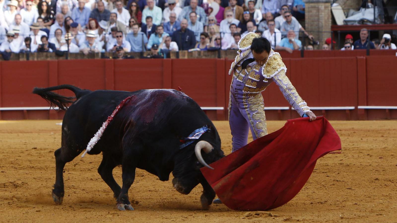 El Cid torea a su último toro en la Feria de Abril de Sevilla. El Cid torea a su último toro en la Feria de Abril de Sevilla.