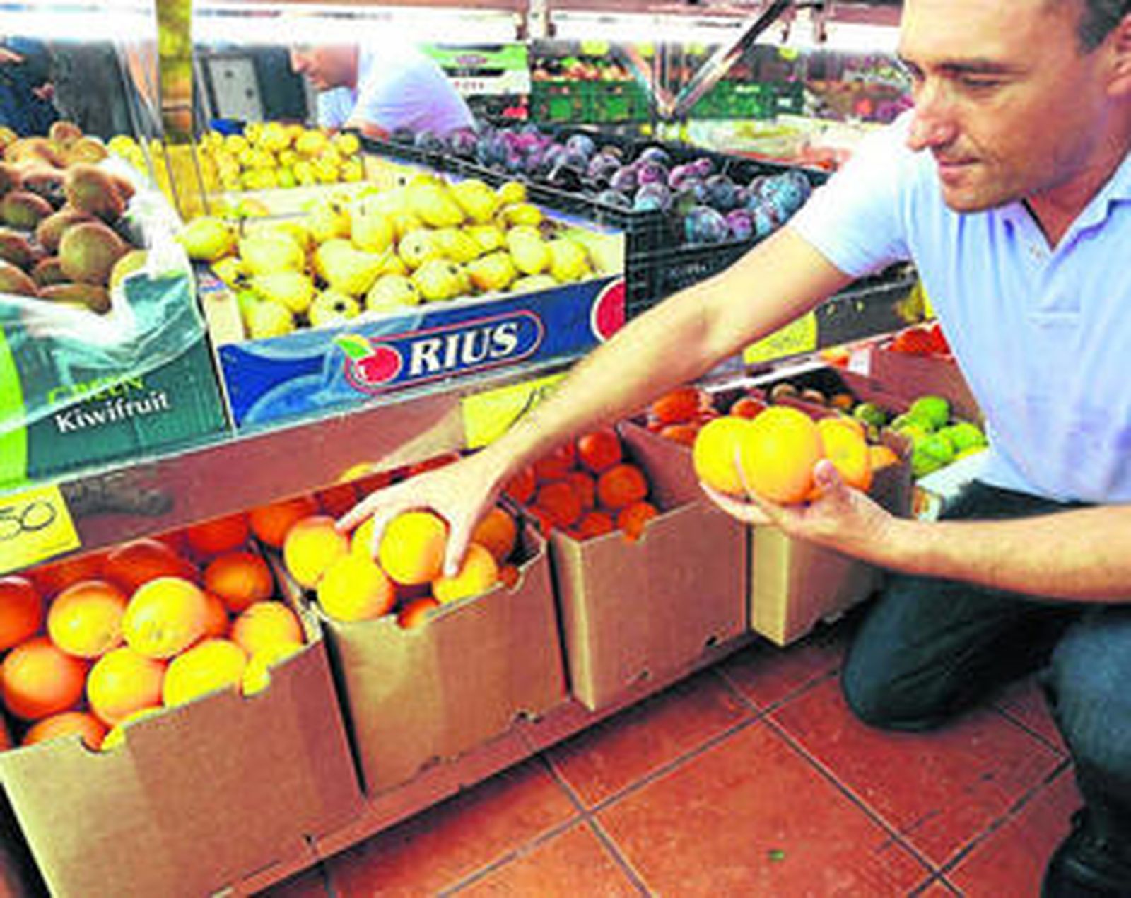 La variedad en la cesta de la compra ayuda a diseñar una dieta equilibrada.
