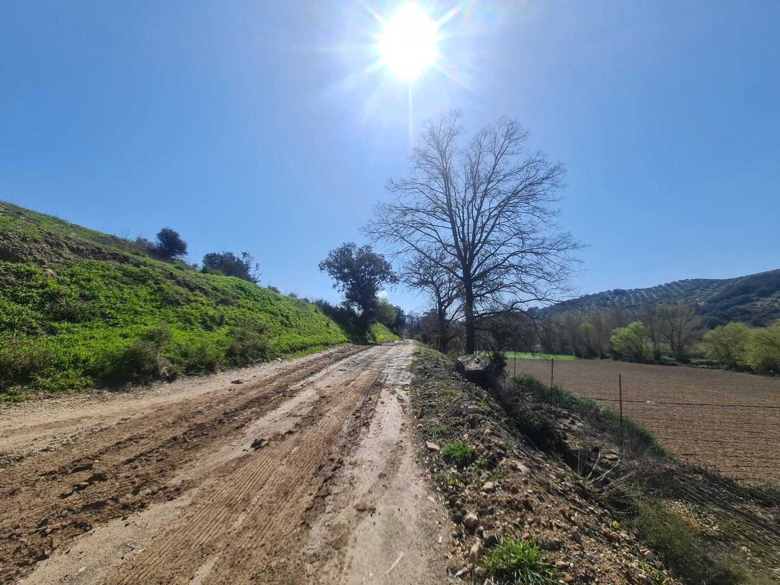 El alcalde de Moclín reclama a la Junta que "intervenga ya" en los caminos rurales comprometidos