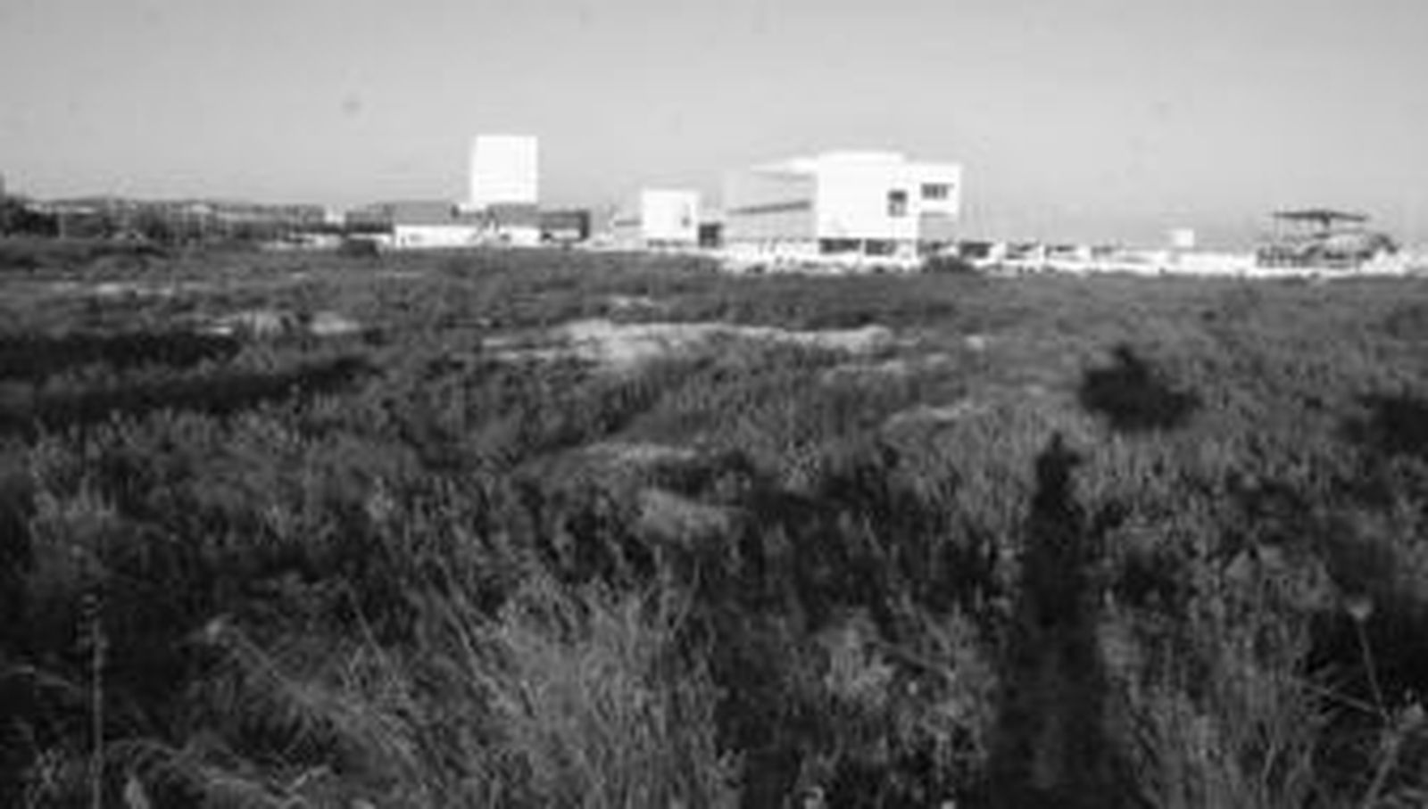 Terrenos del polígono industrial Las Salinas en los que la Zona Franca tiene parcelas para proyectos empresariales.