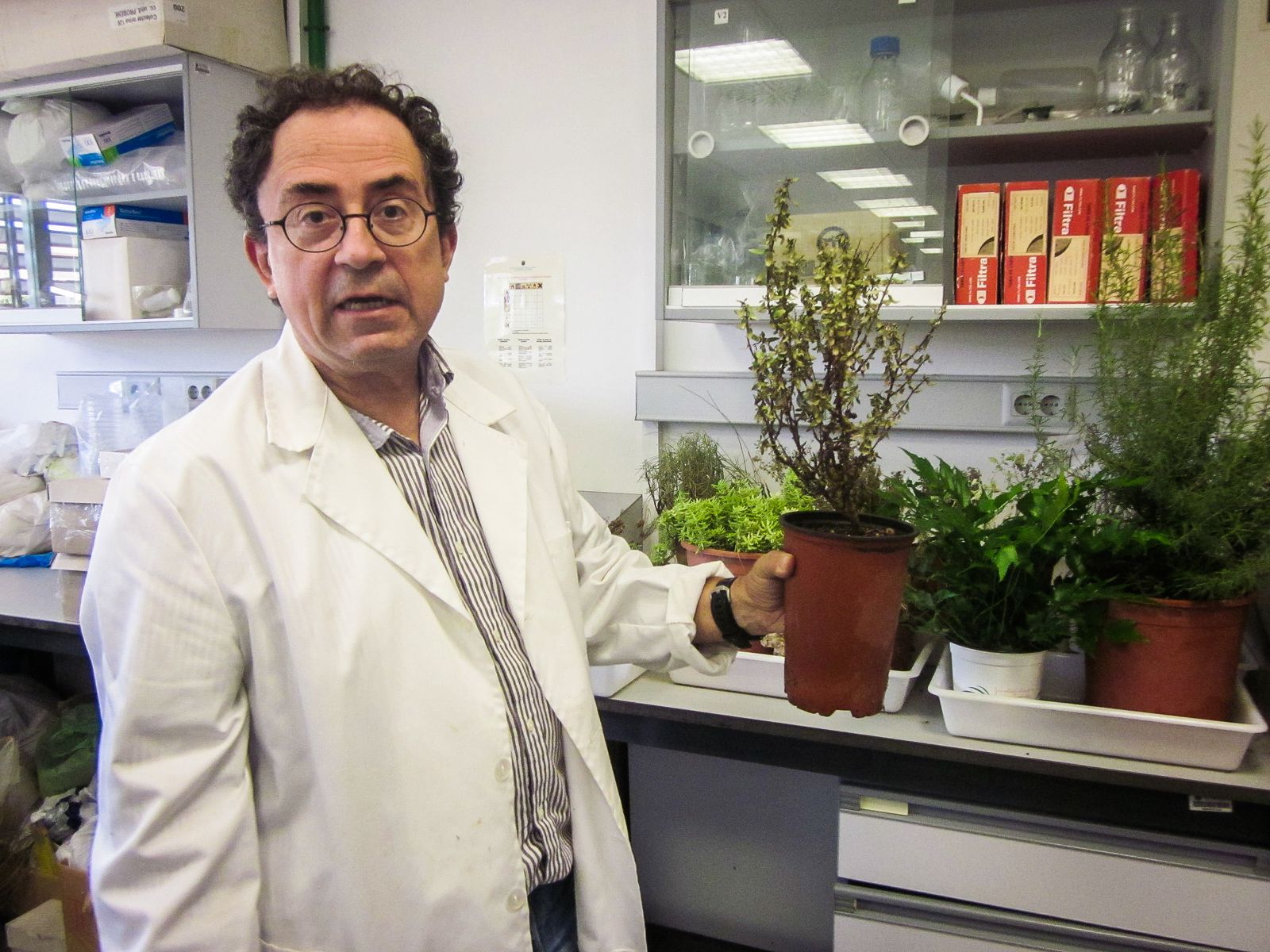 Juan Francisco Mota, en su laboratorio.