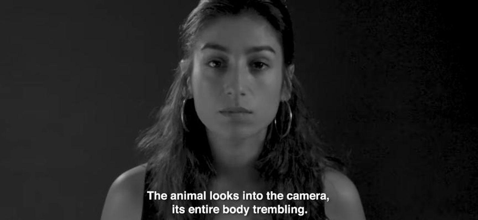 "Nos Miran", un corto donde 9 actrices acusan a Vivotecnia de maltrato animal