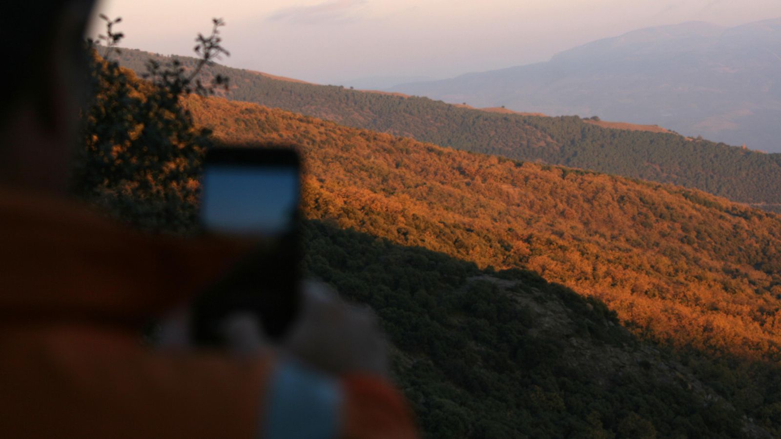 Un periodista fotografía el robledal de La Taha de Pitres Un periodista fotografía el robledal de La Taha de Pitres
