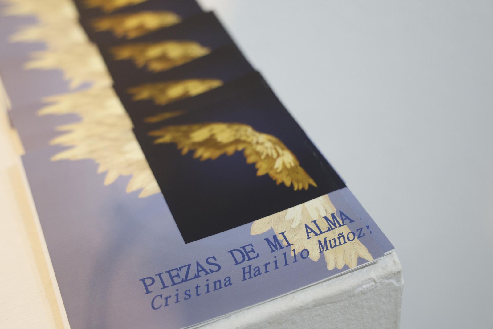 Cristina Harillo inaugura su exposición más personal en el centro de Algeciras