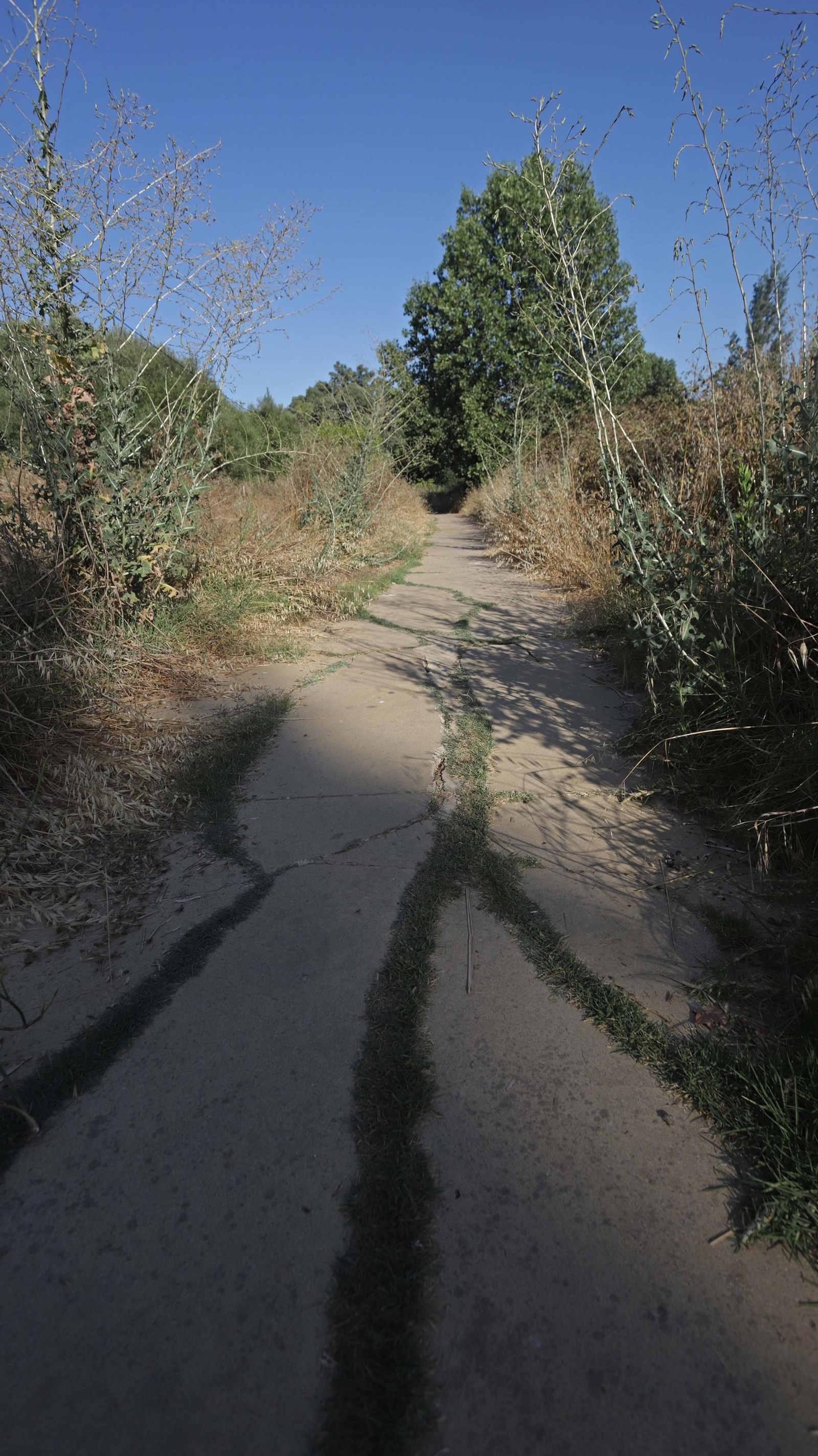 Fotos de los desperfectos del parque del río Pícaro en Algeciras