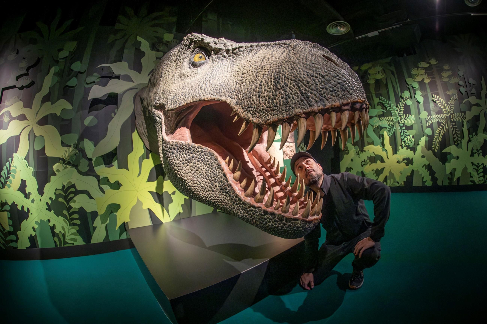 Así se han apoderado los dinosaurios del Parque de las Ciencias de Granada