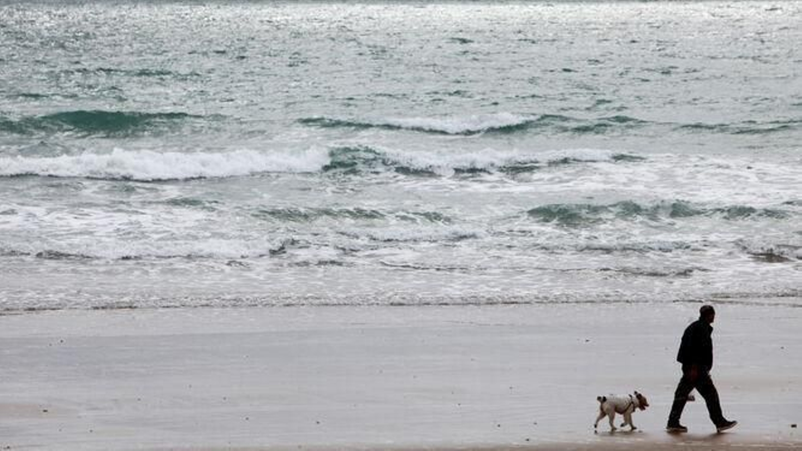 Un hombre pasea con su perro en la orilla de una playa de Cádiz