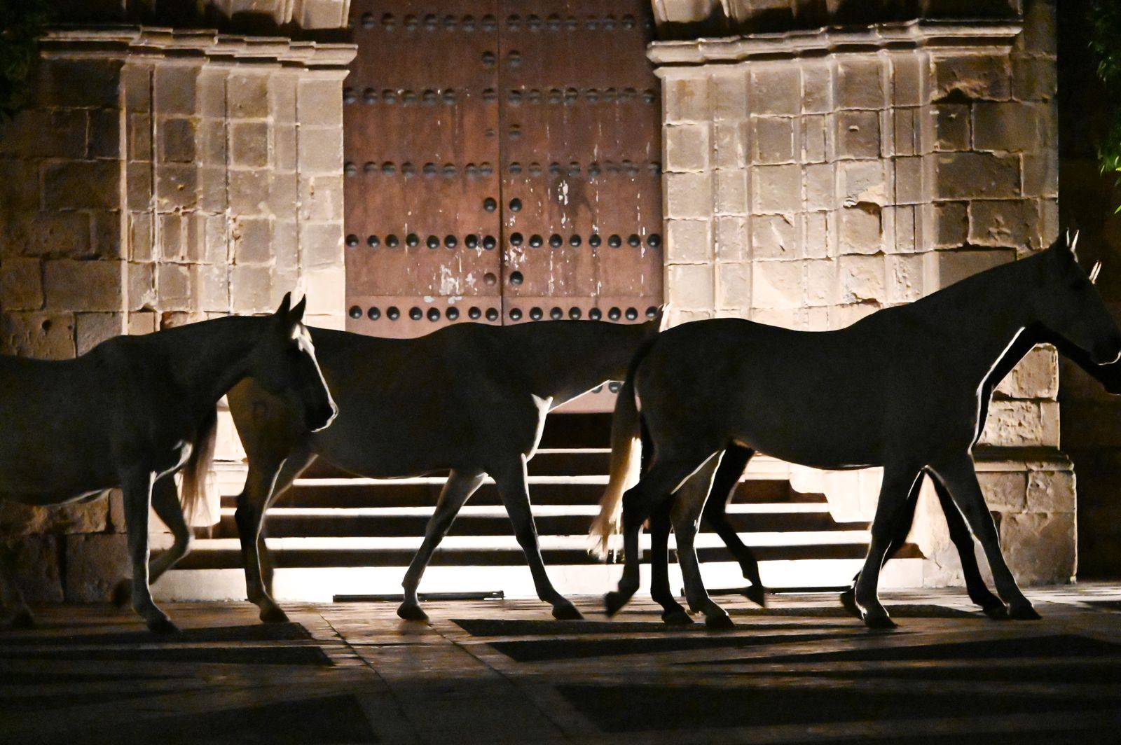 Rodaje de la película 'Siete Jereles' de Gonzalo García-Pelayo en Jerez