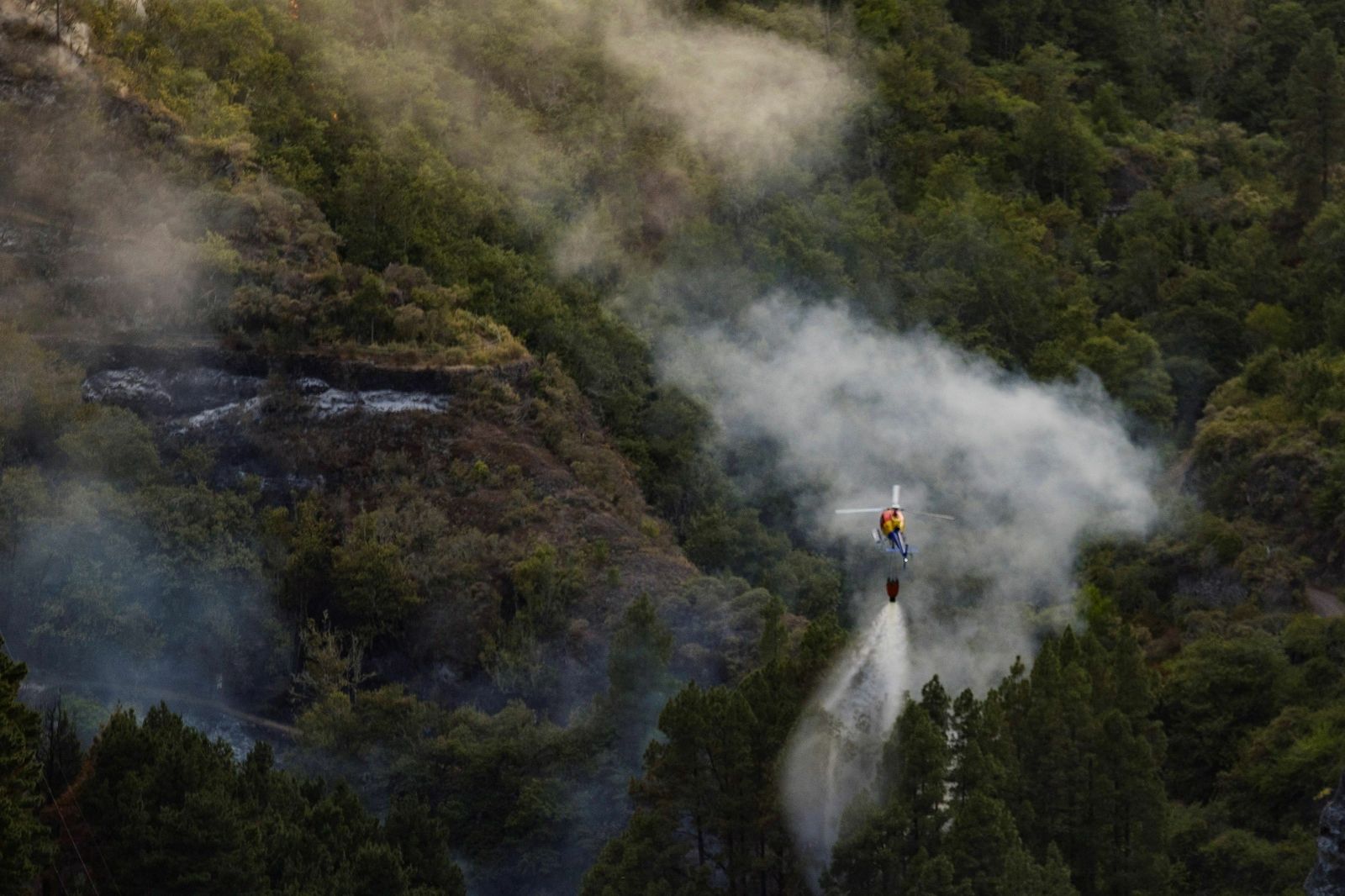 Las imágenes del incendio forestal en Gran Canaria.
