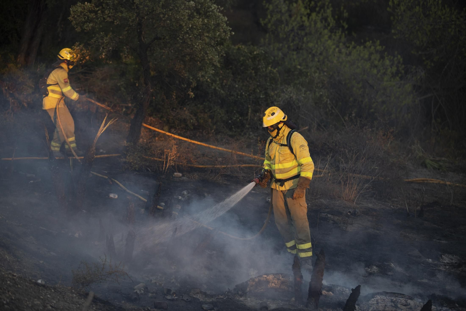 Imágenes del incendio de Bonares