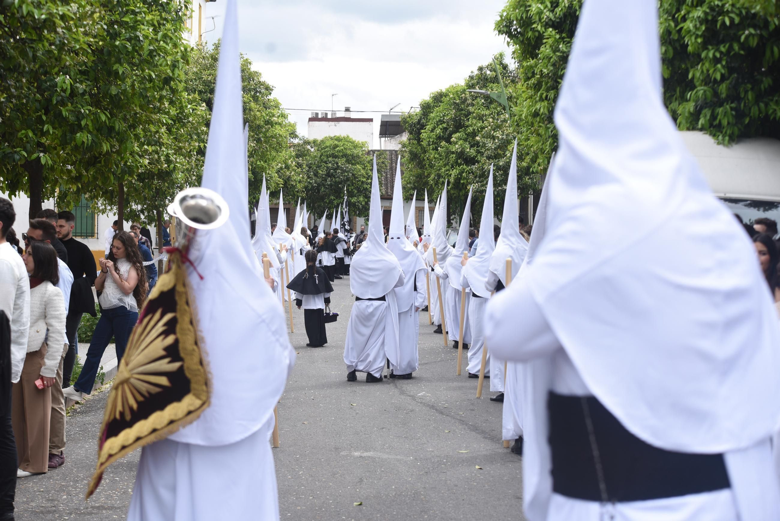Las mejores imágenes de la procesión Presentación al Pueblo en Córdoba