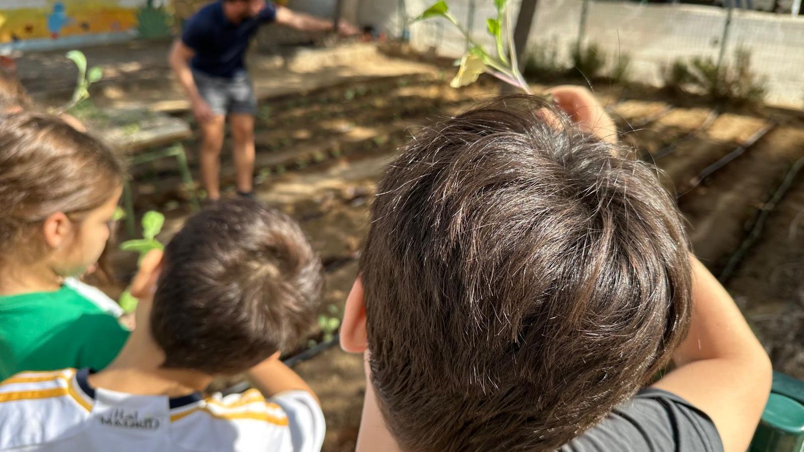 Una clase al aire libre entre verduras, hortalizas y plantas aromáticas en el CEIP Rafael Alberti