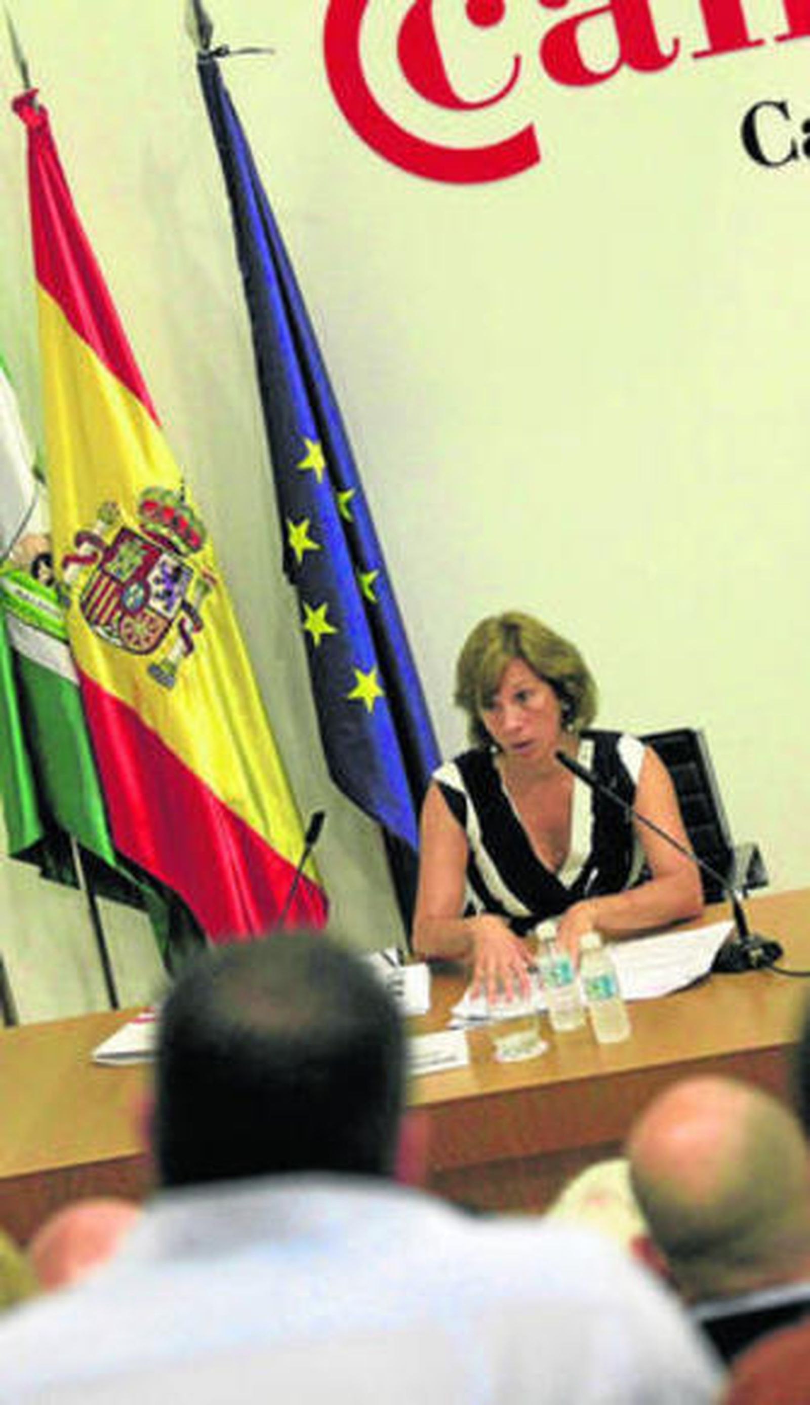 Nuria Carracedo explica los detalles del nuevo código aduanero, ayer.