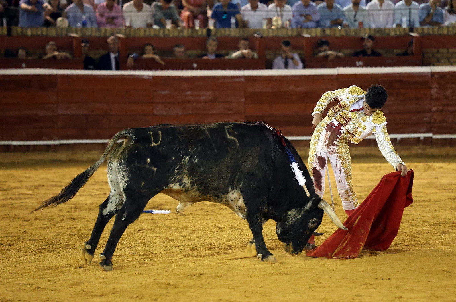 Toros La Merced 2025: Imágenes de la corrida de David de Miranda, Marco Pérez y Borja Jiménez